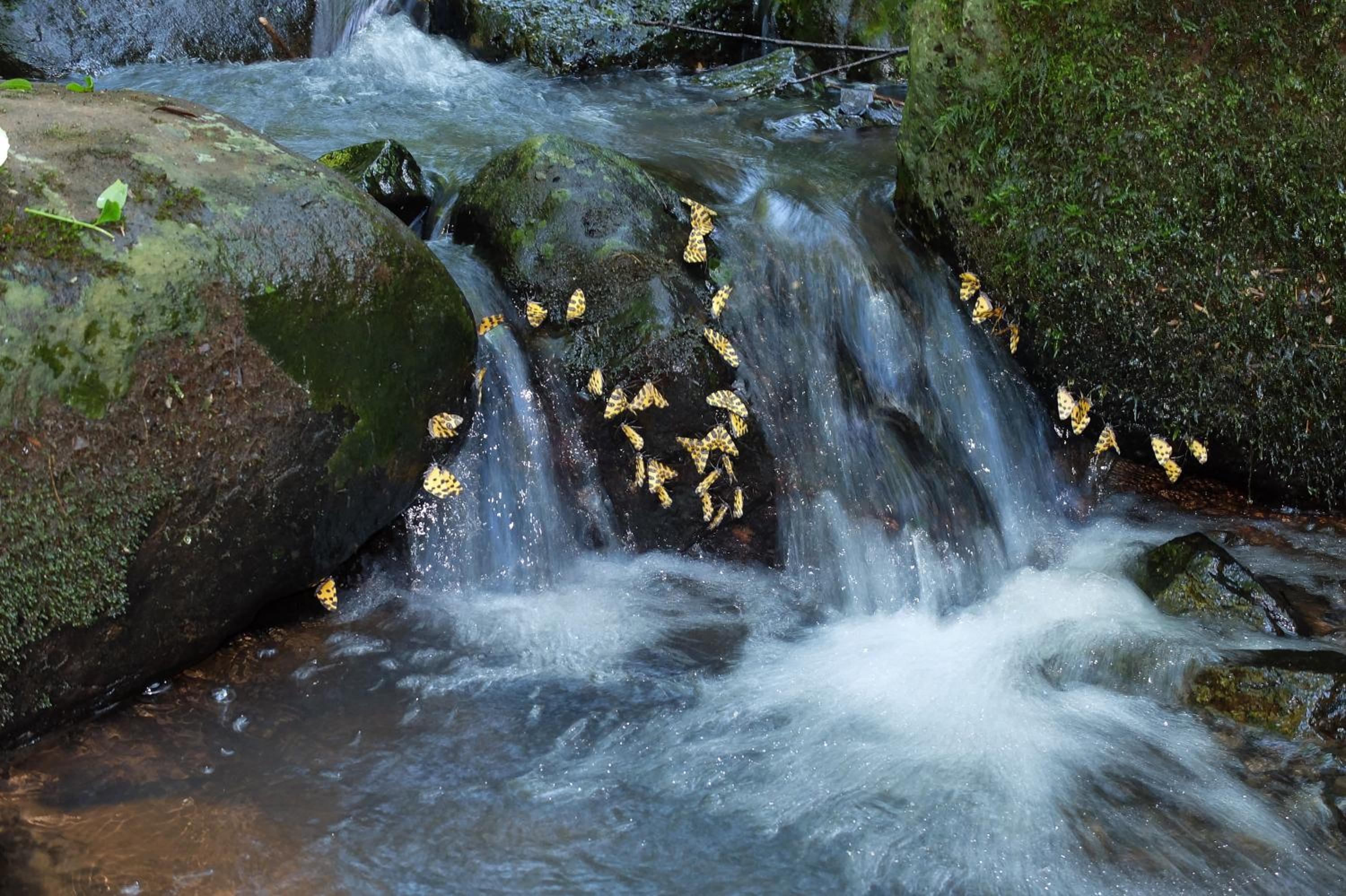 Chacra del Agua Reserva Privada