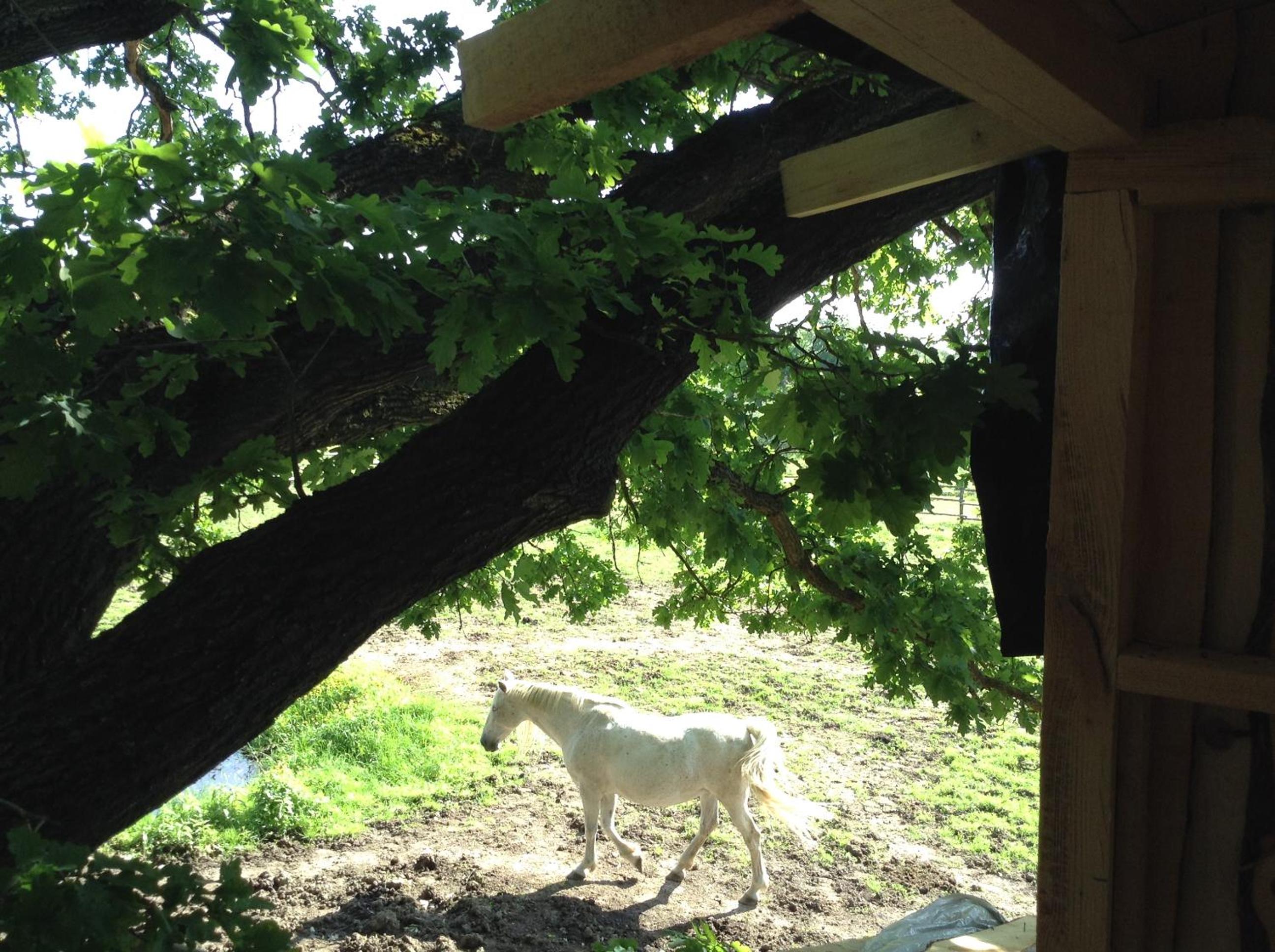 Kerca Bio Farm