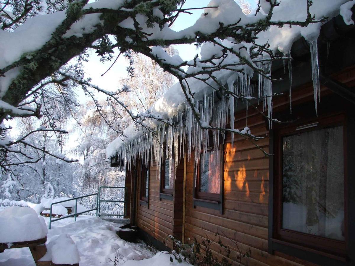 Loch Insh Chalets Ltd view 3
