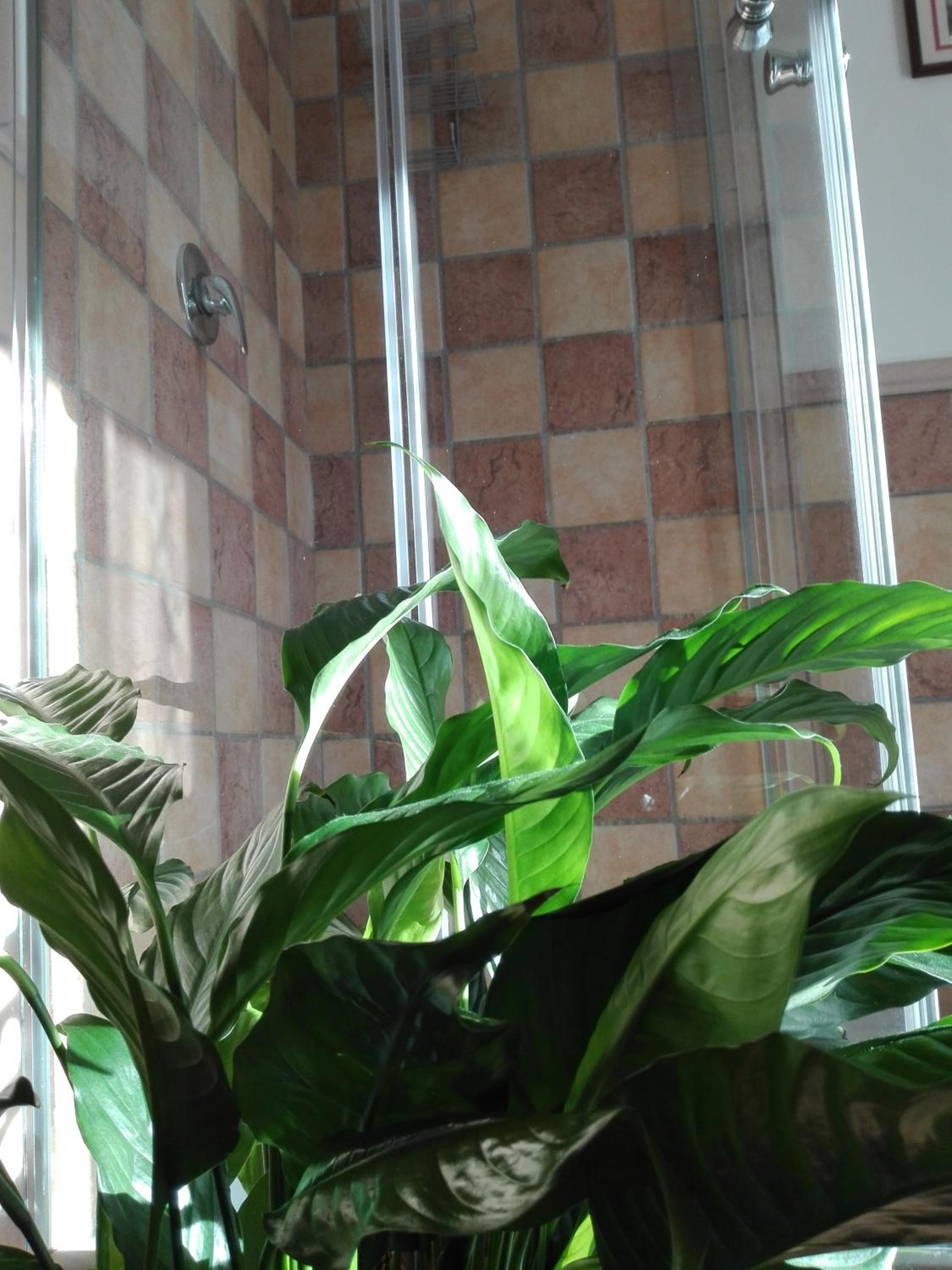 Photo 35