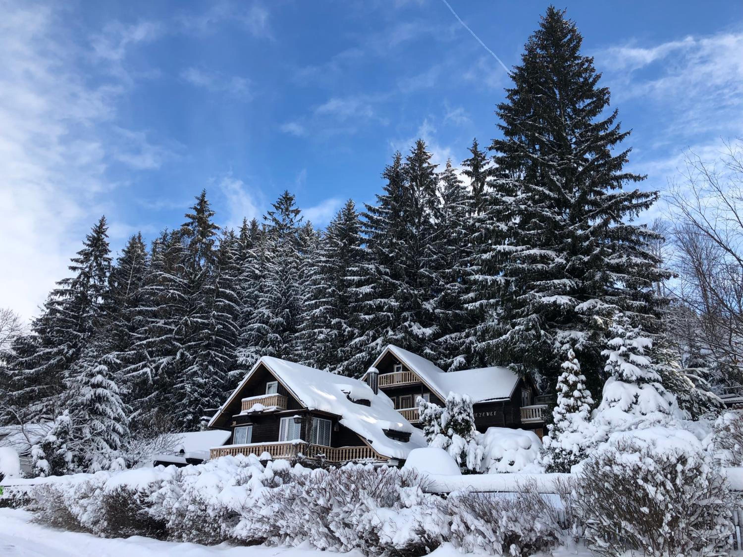 Chata Jezevec view 5