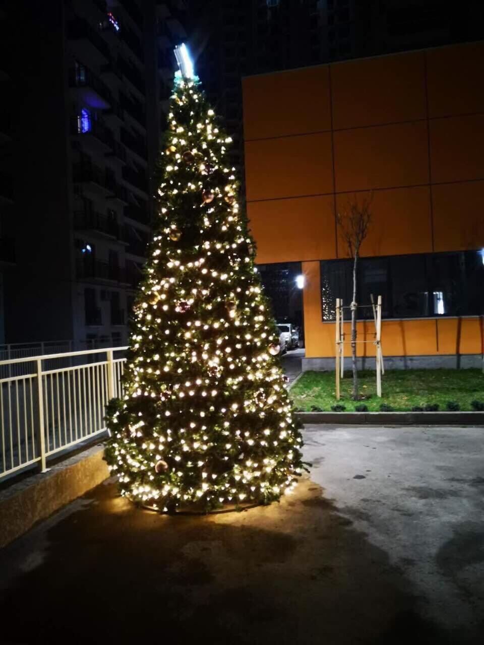 Photo 27
