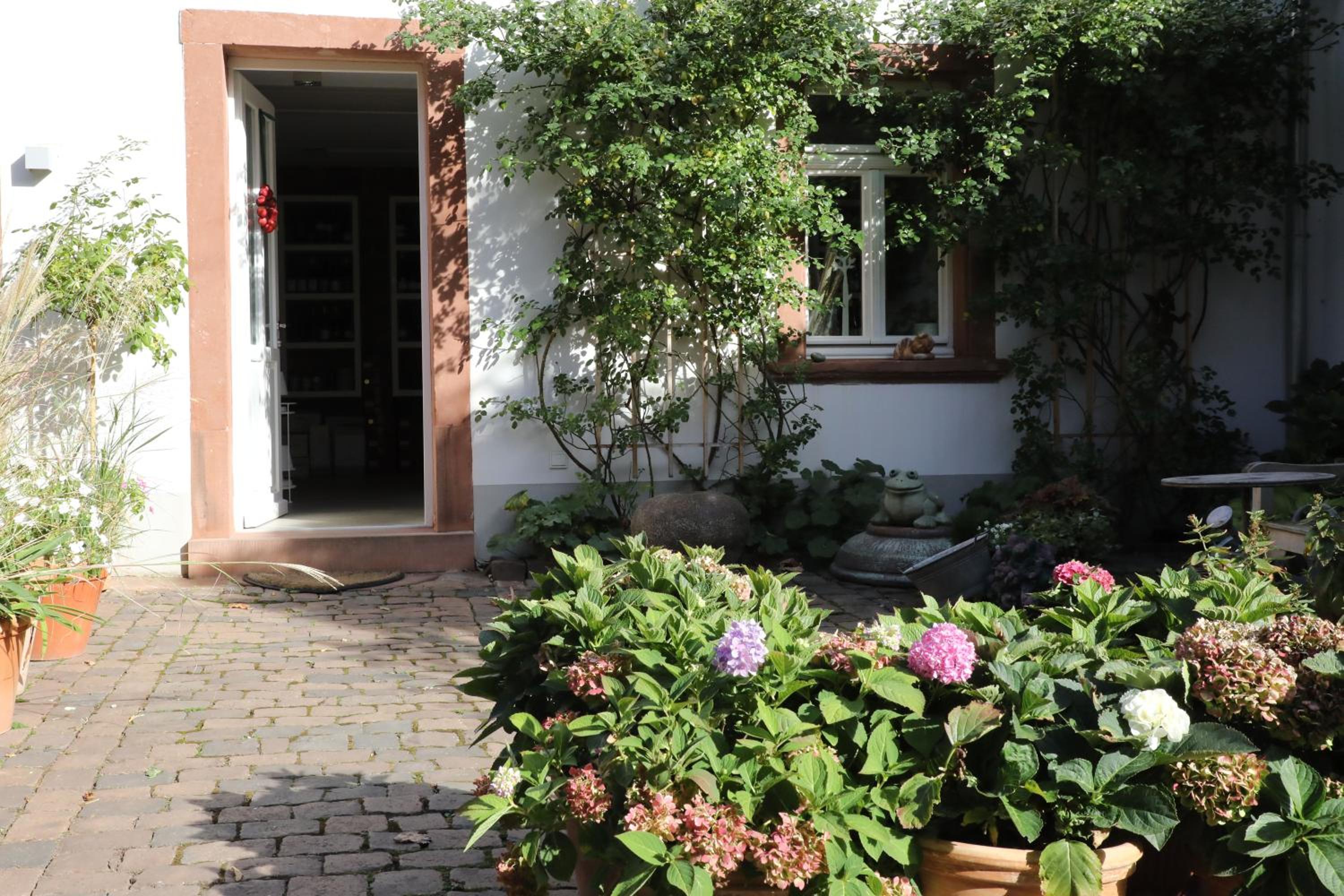 garden