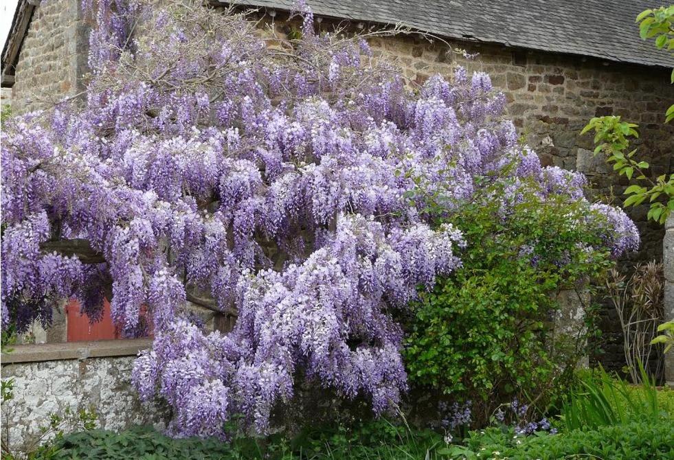 Le Clos des Anges view 5