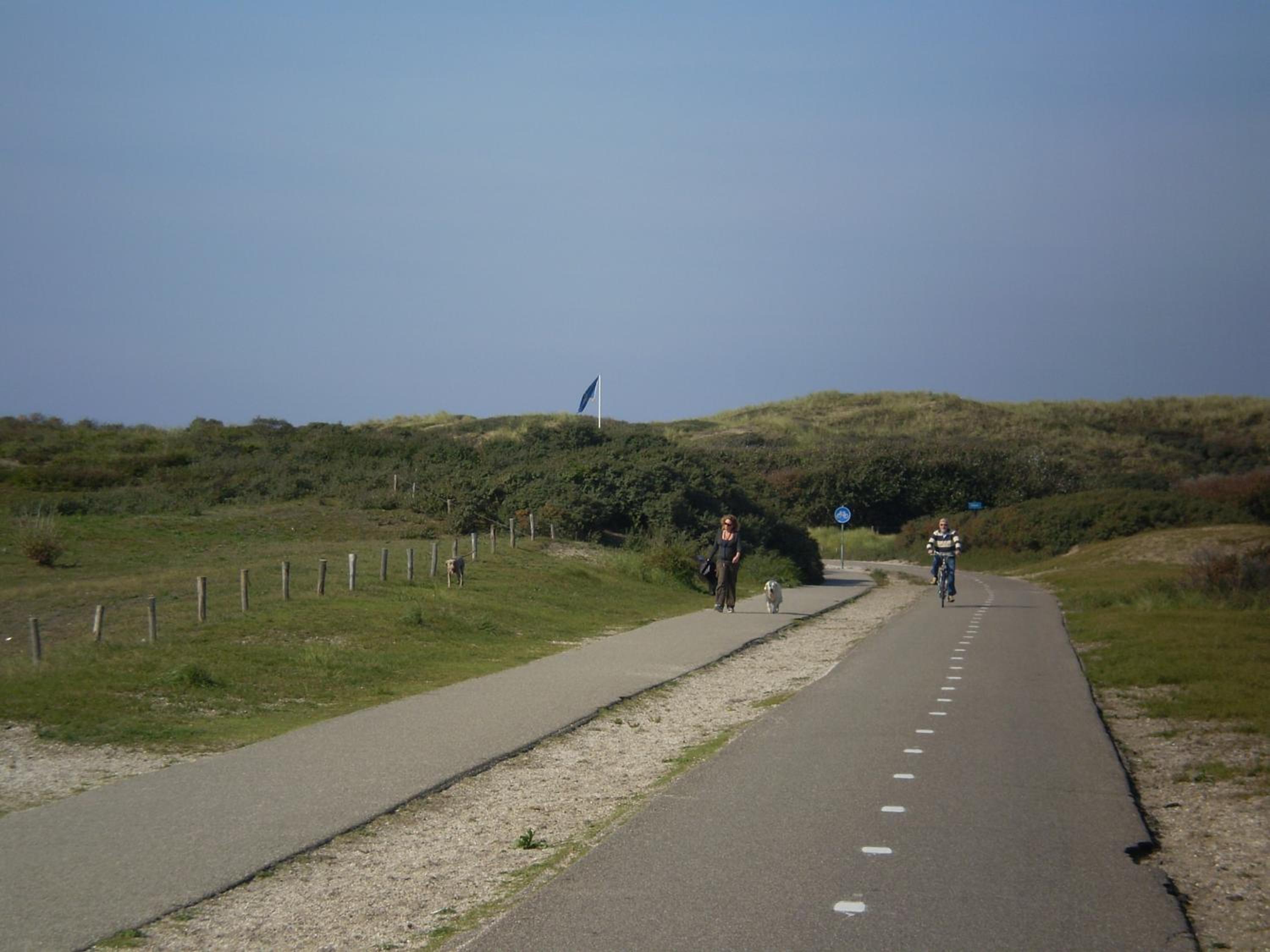Photo 24