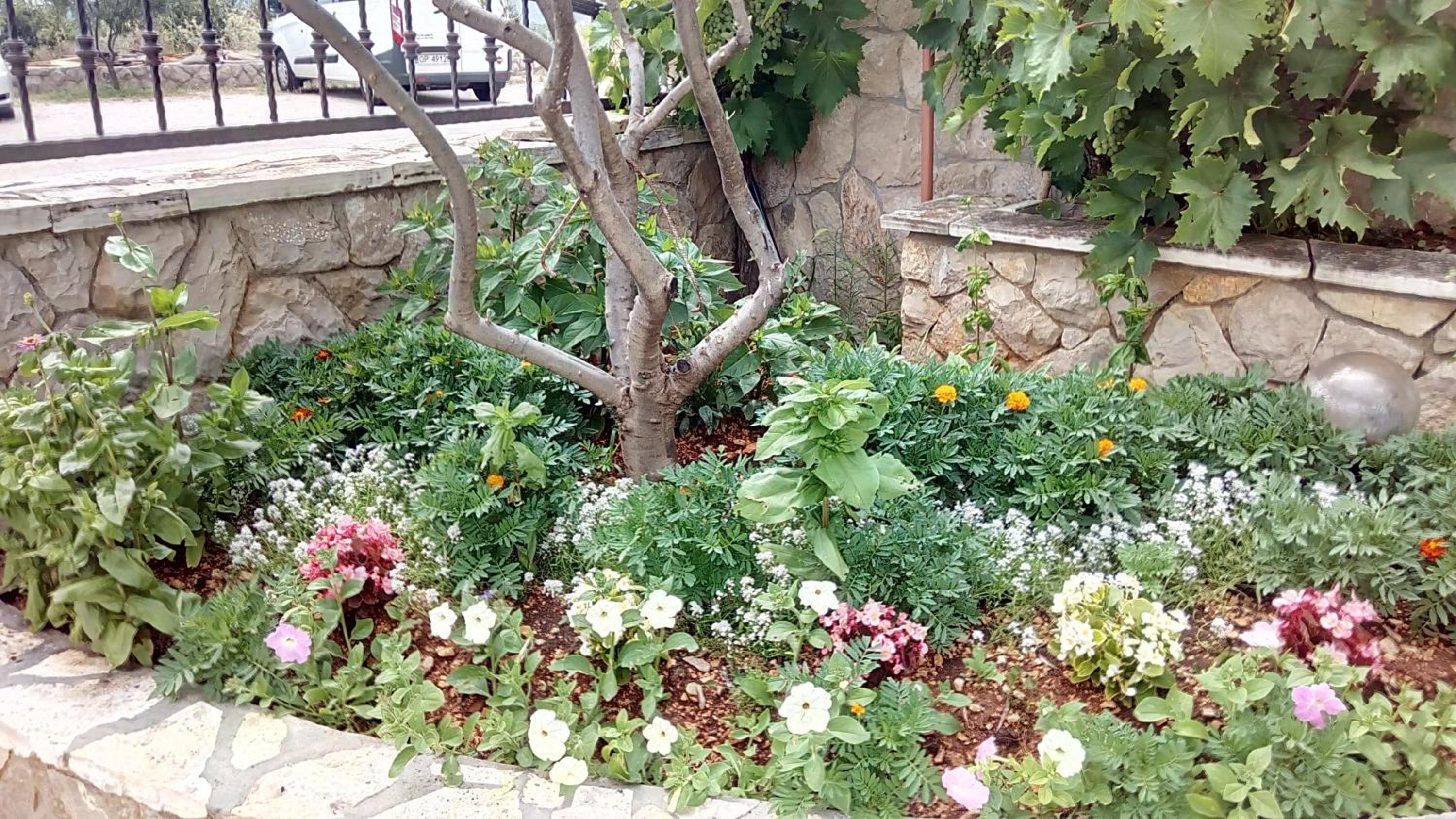 Photo 23