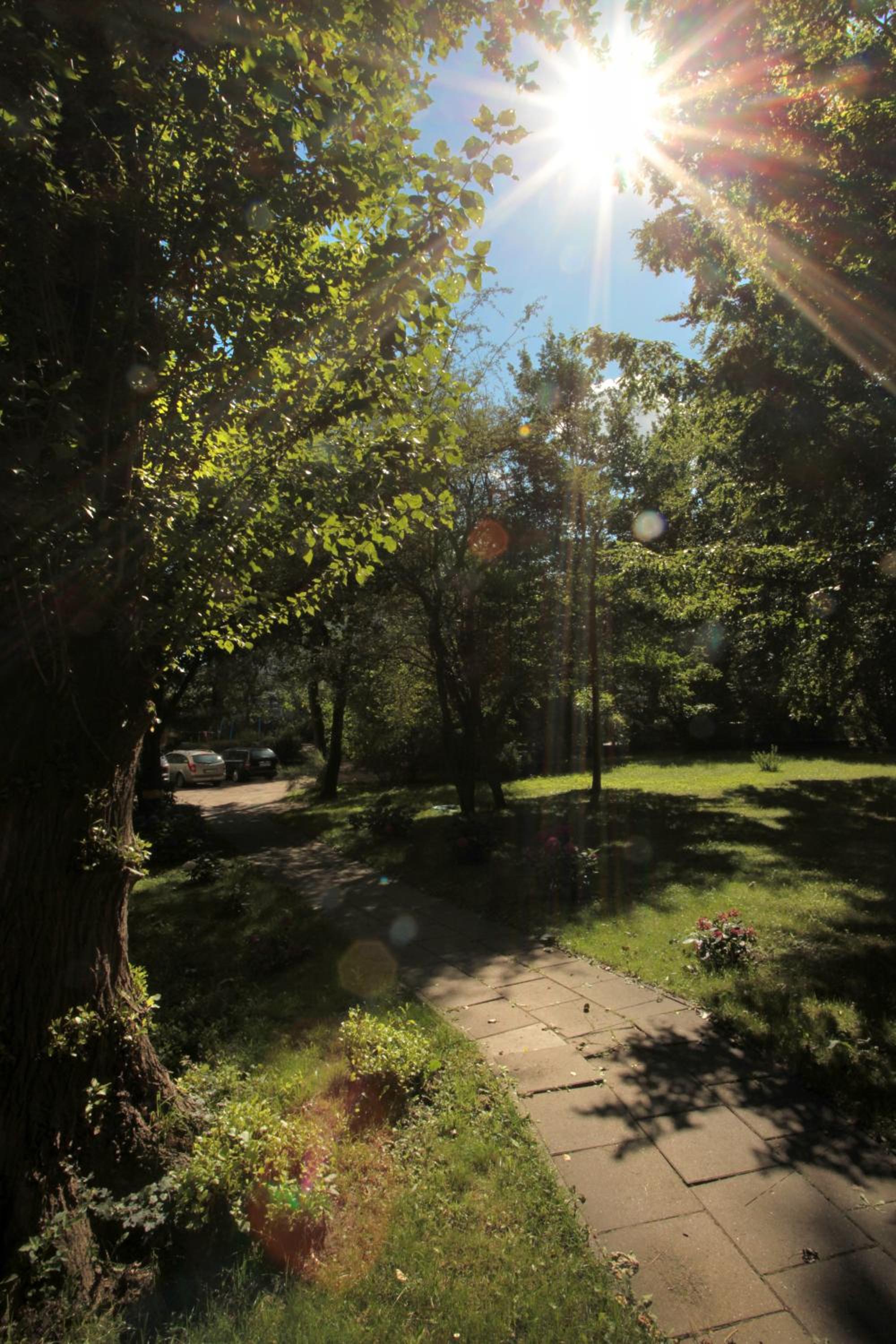 Photo 72