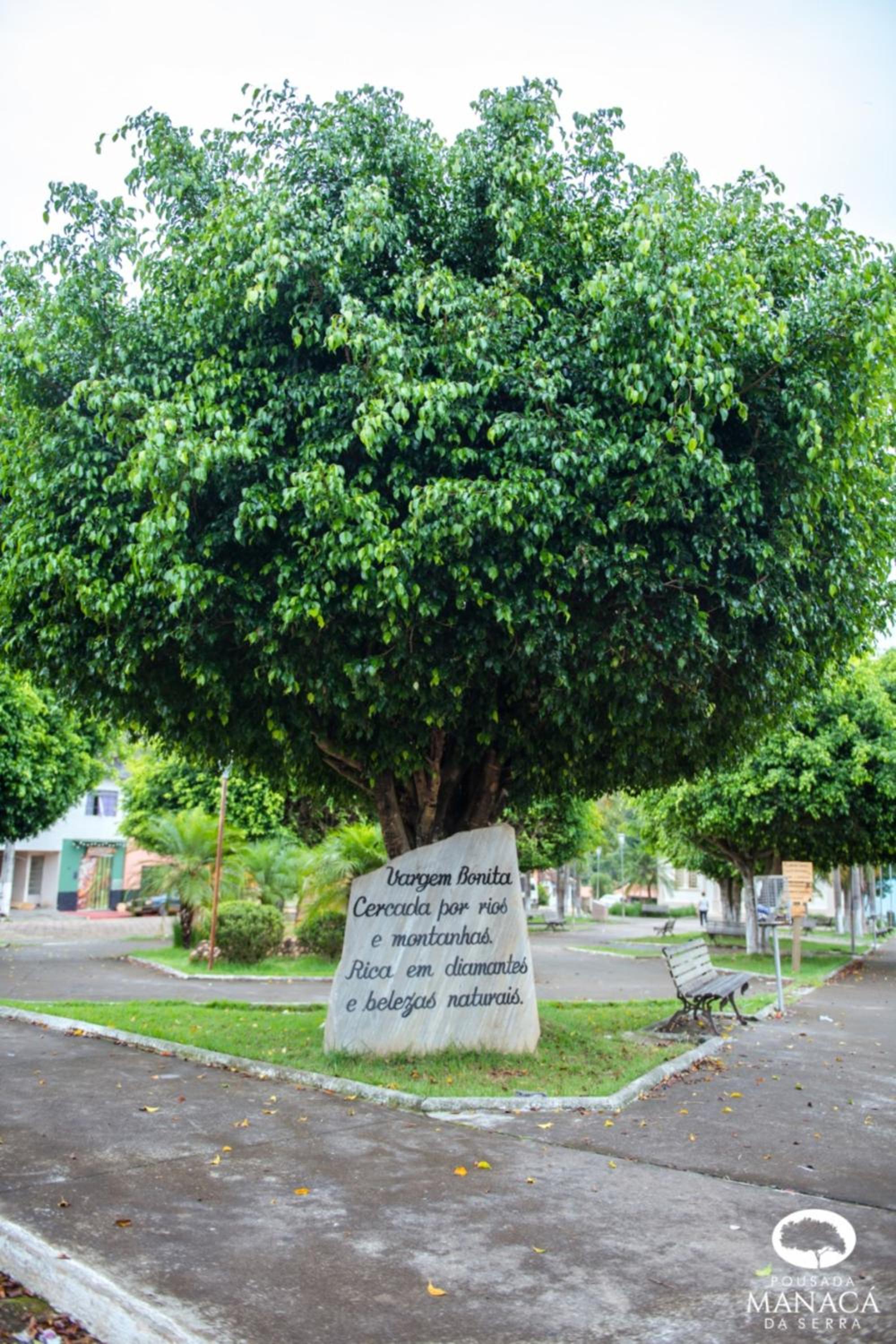 Photo 49