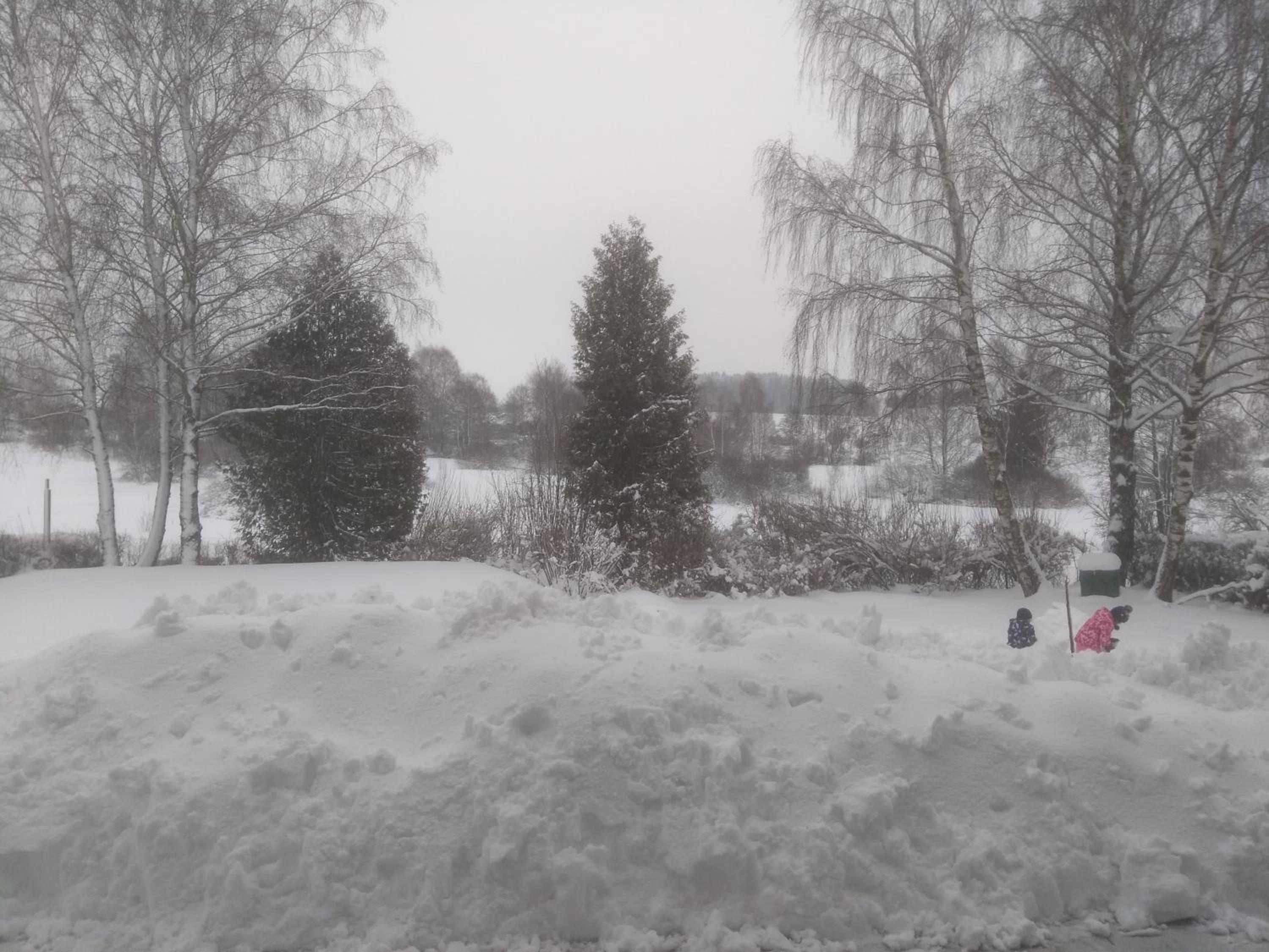 Photo 48