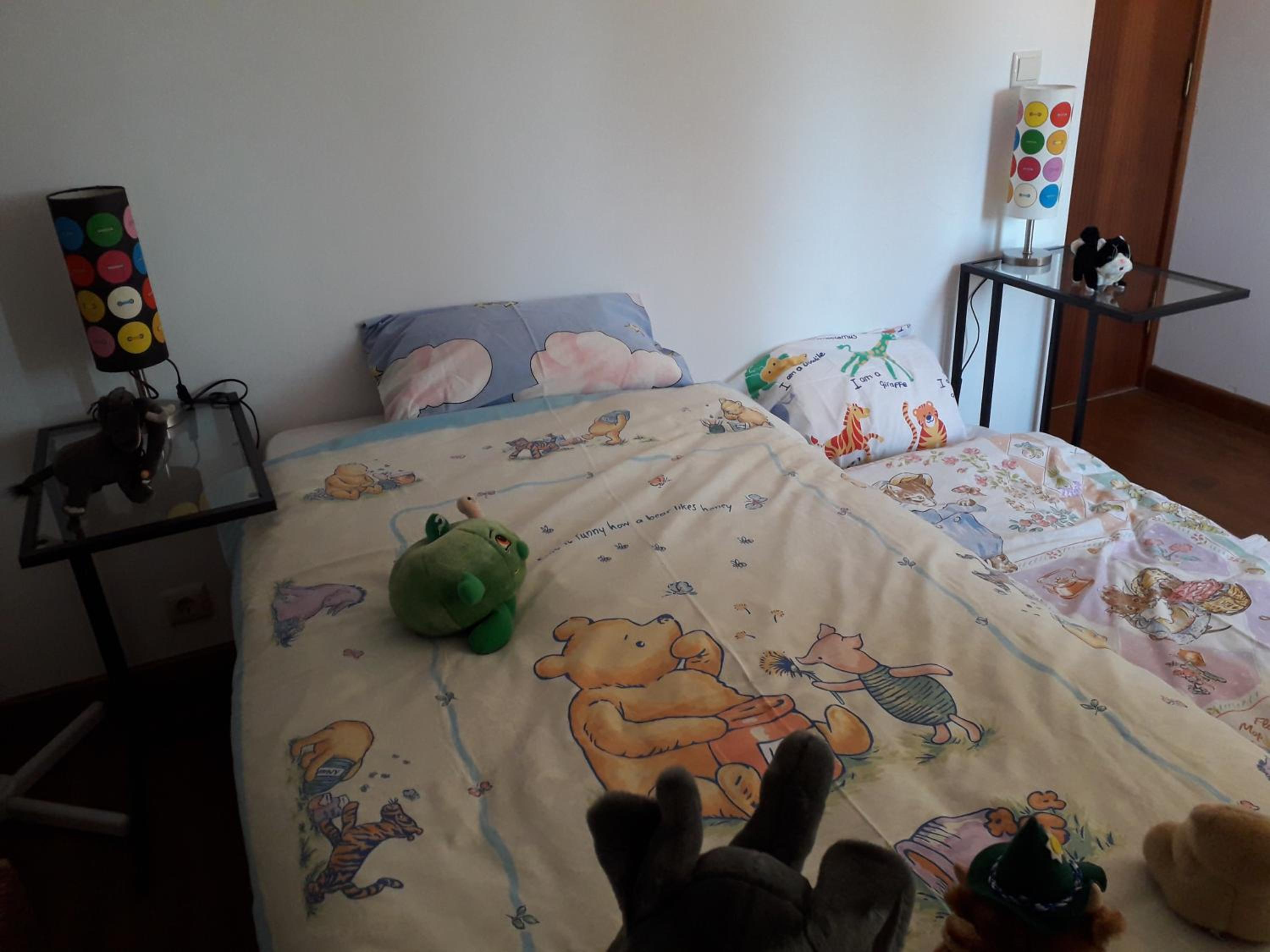 Photo 24