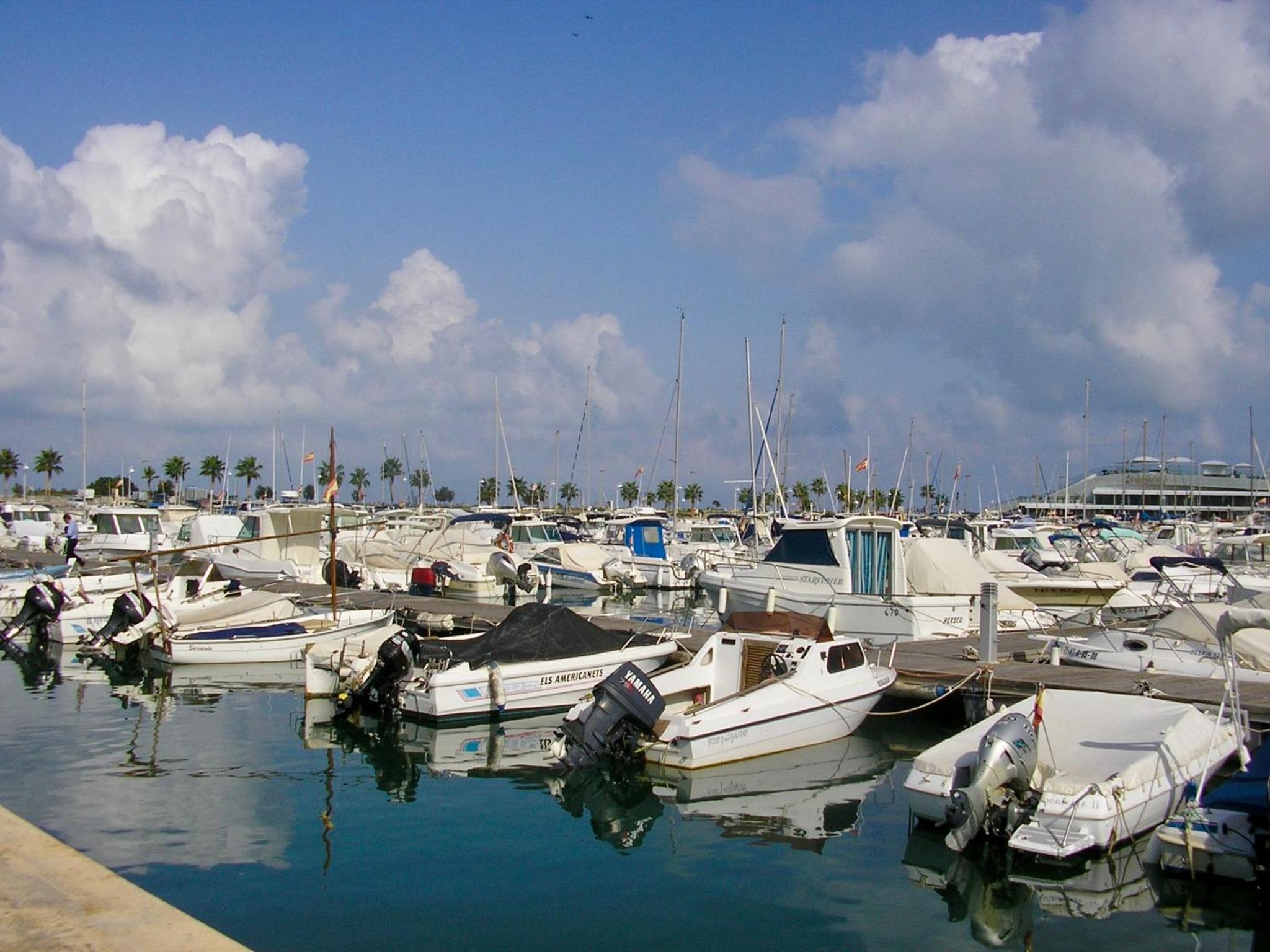 Photo 25