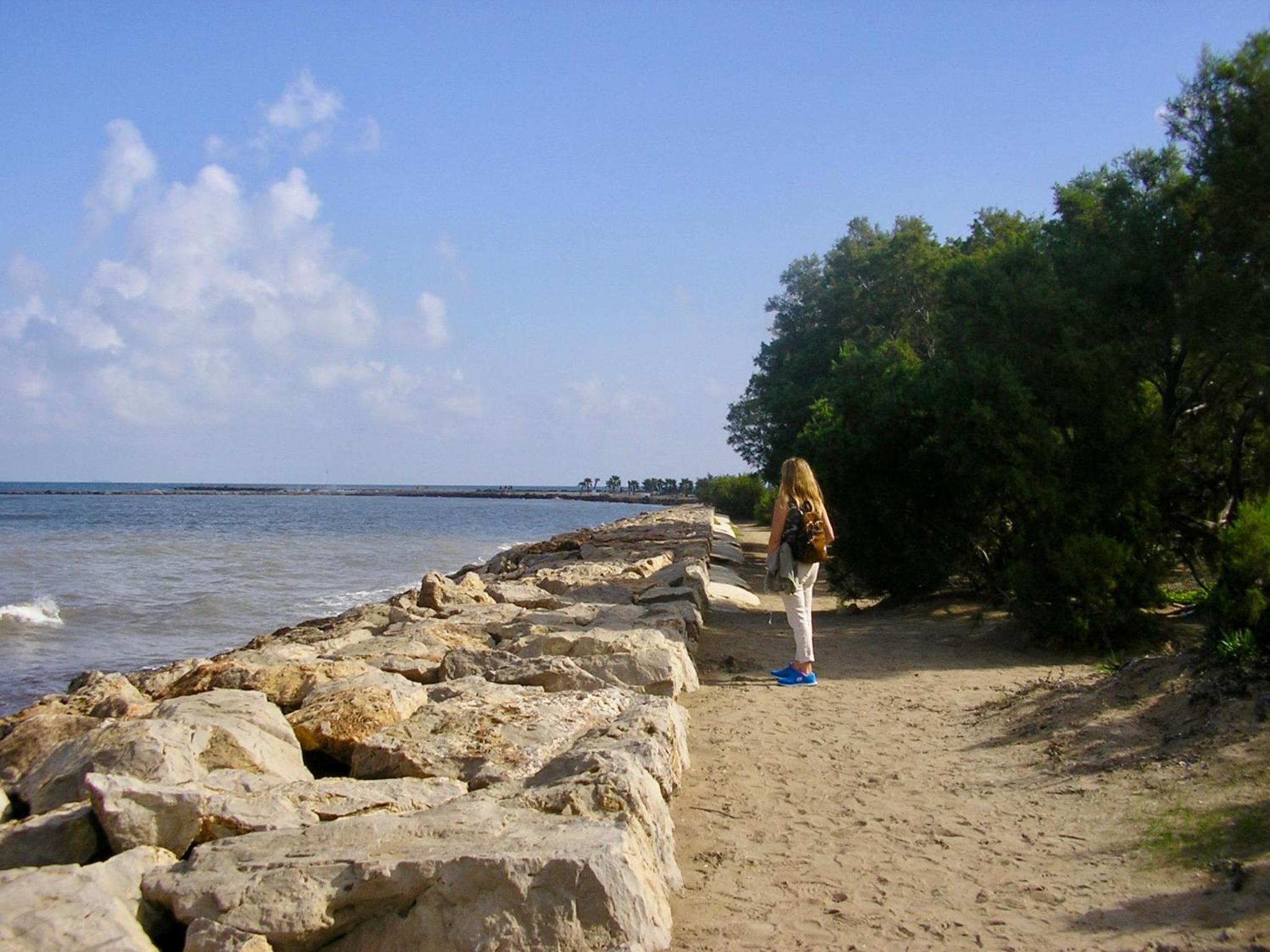 Photo 24