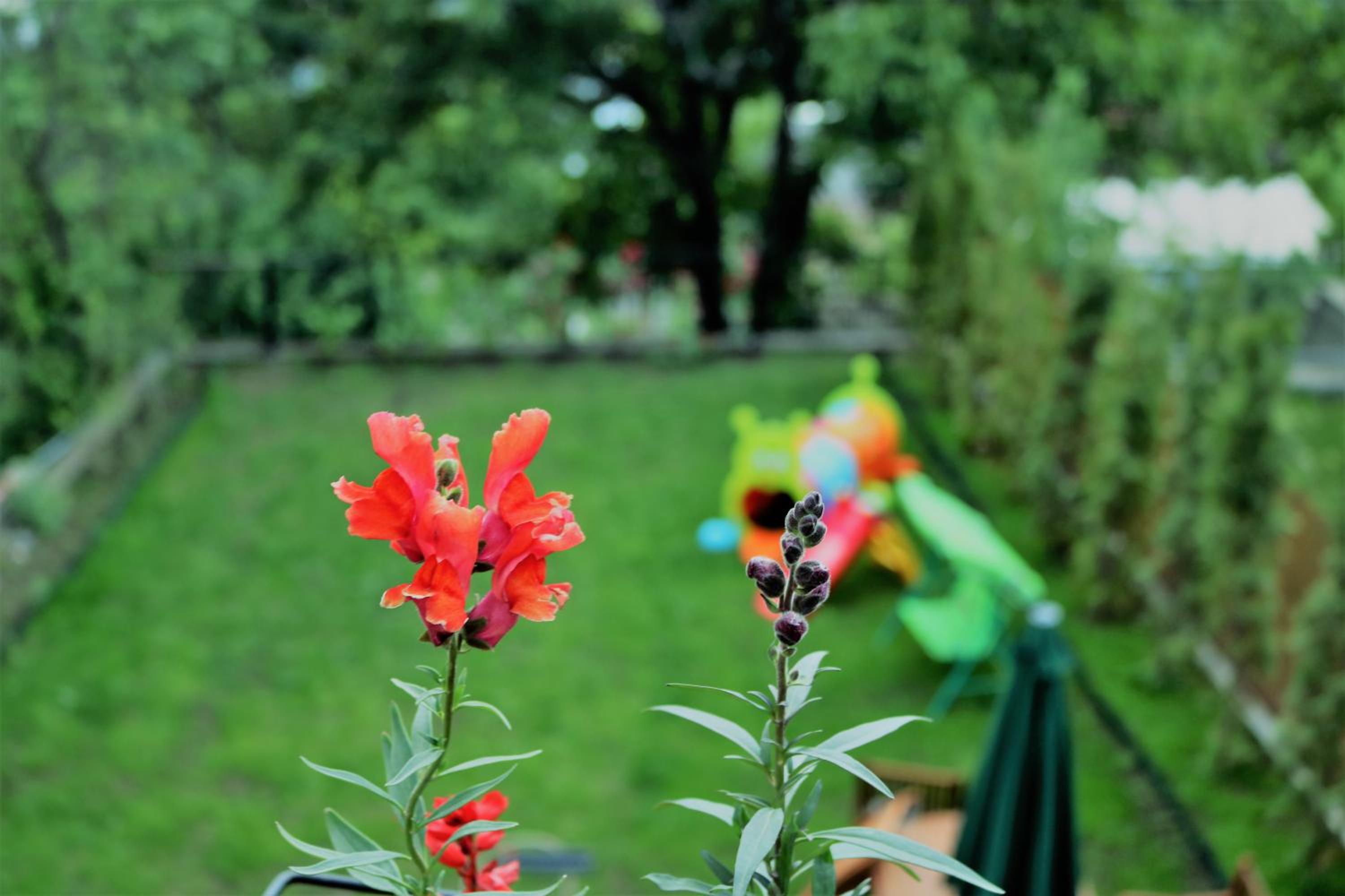 Modern Floor - Dilijan Garden House