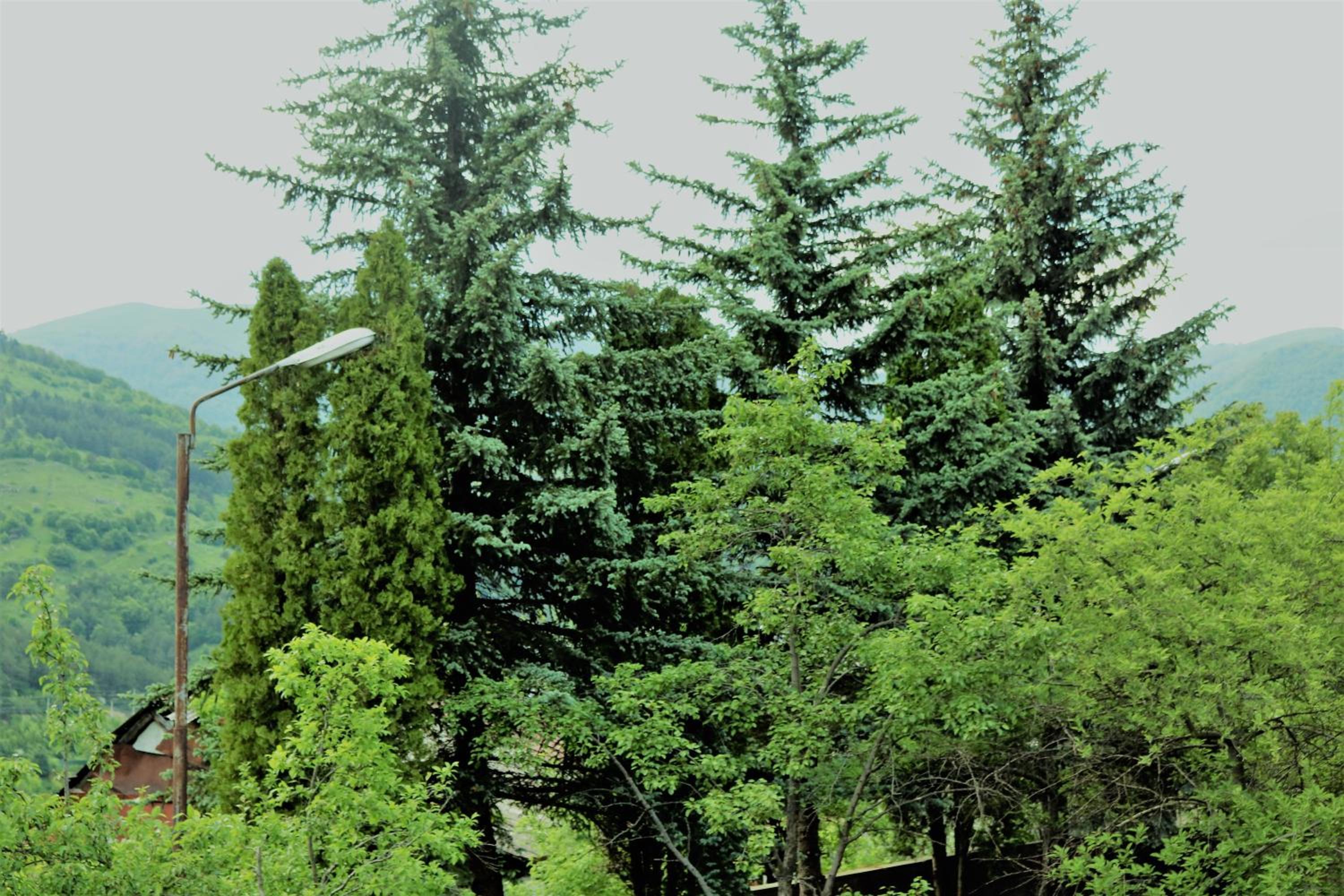 Modern Floor - Dilijan Garden House