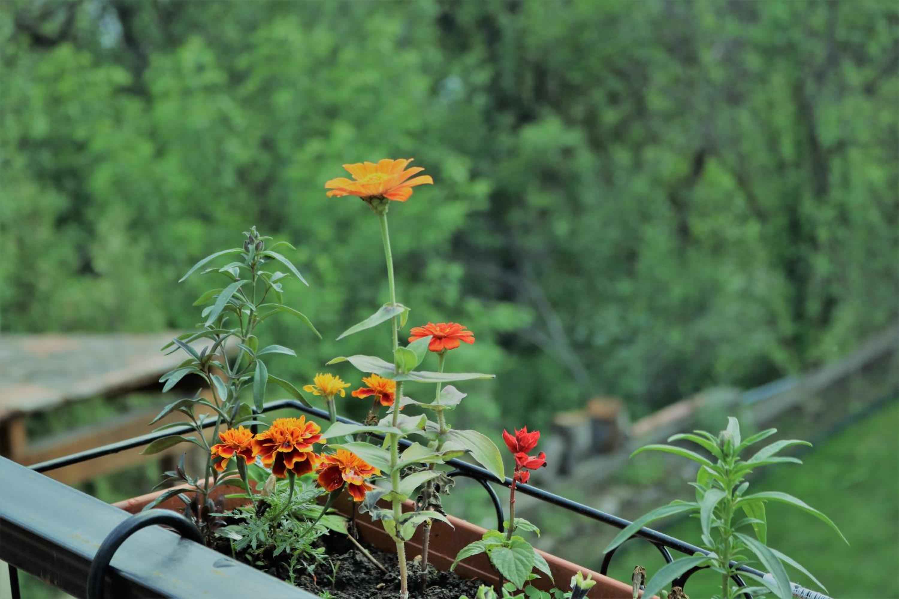 Modern Floor - Dilijan Garden House