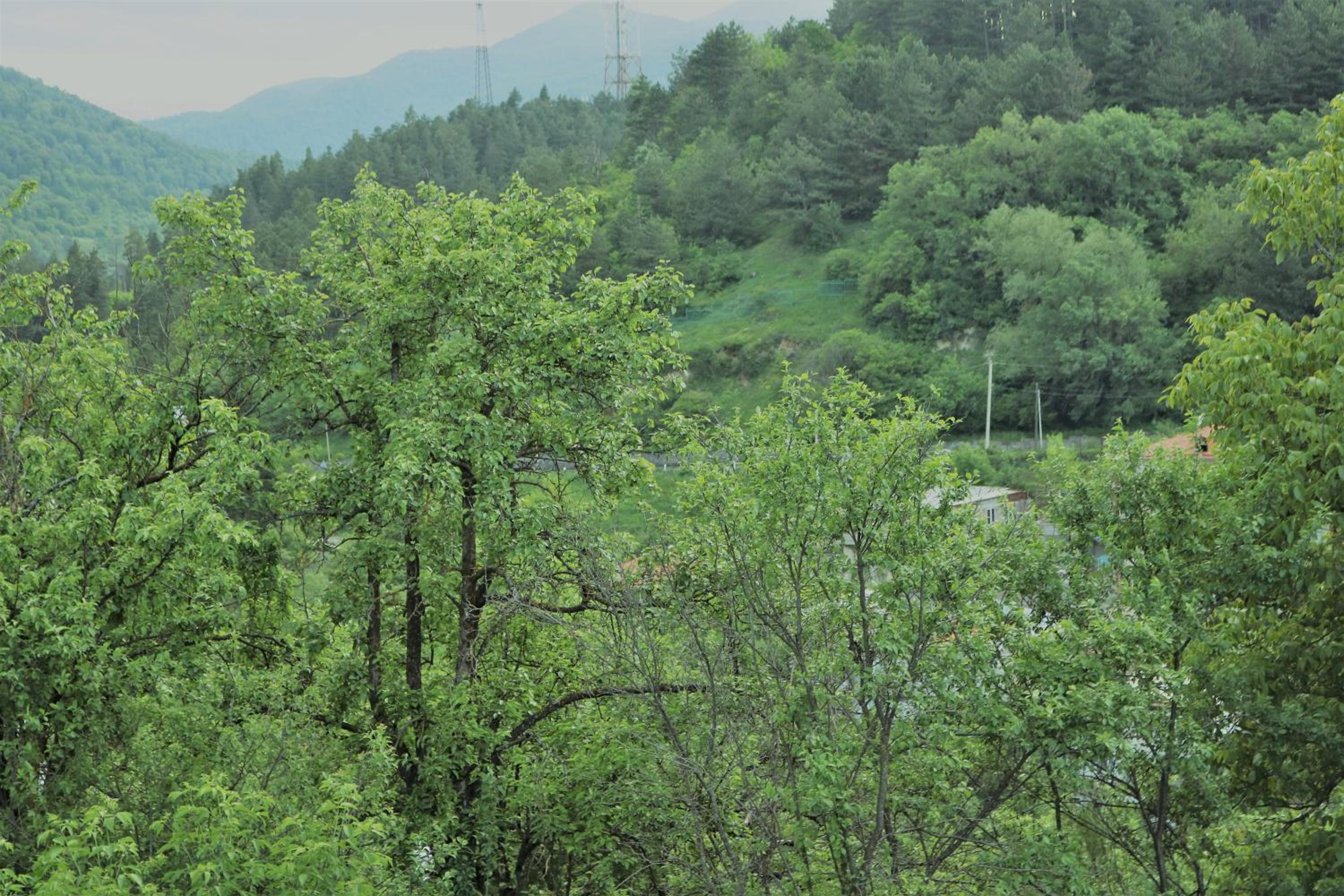 Modern Floor - Dilijan Garden House