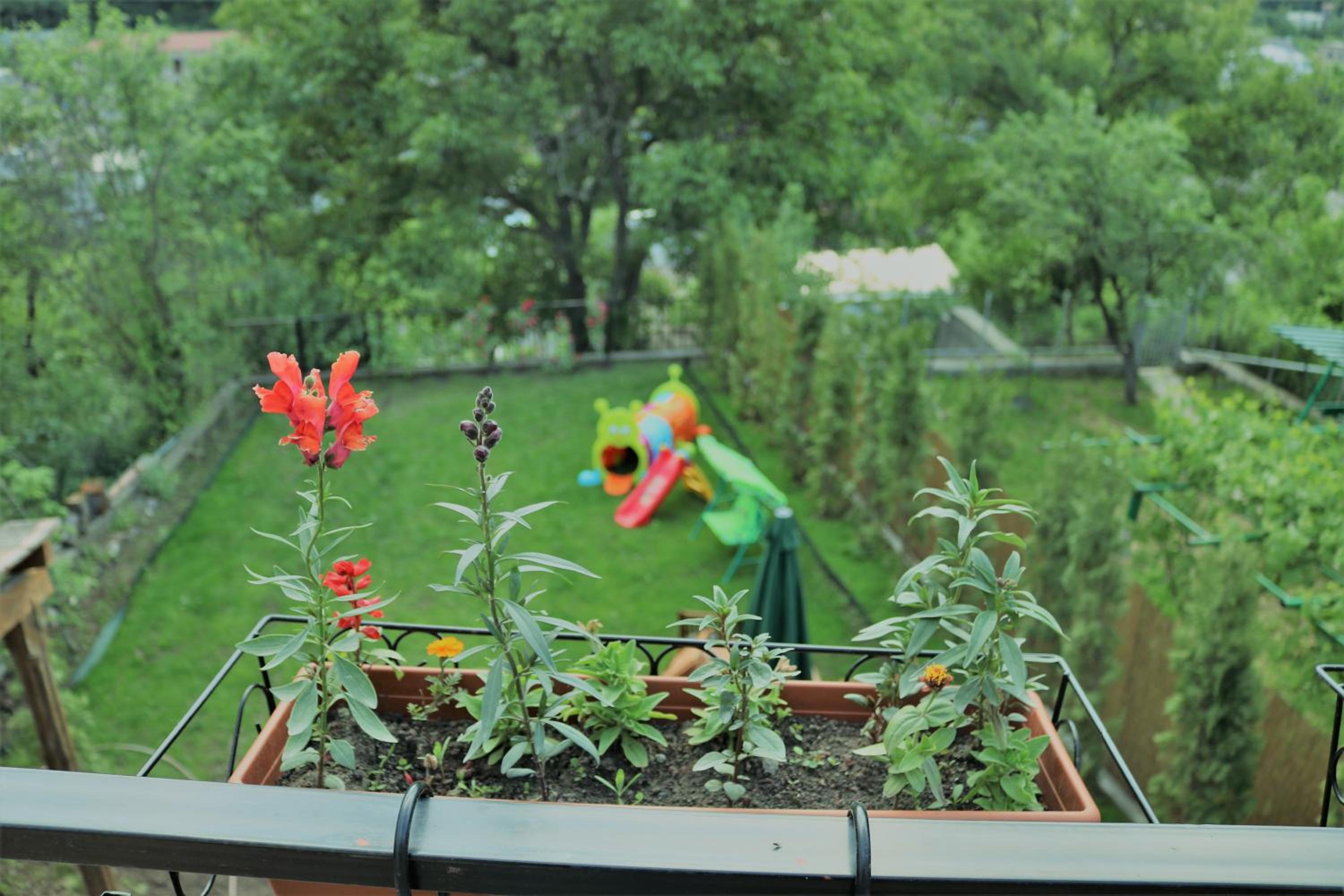 Modern Floor - Dilijan Garden House