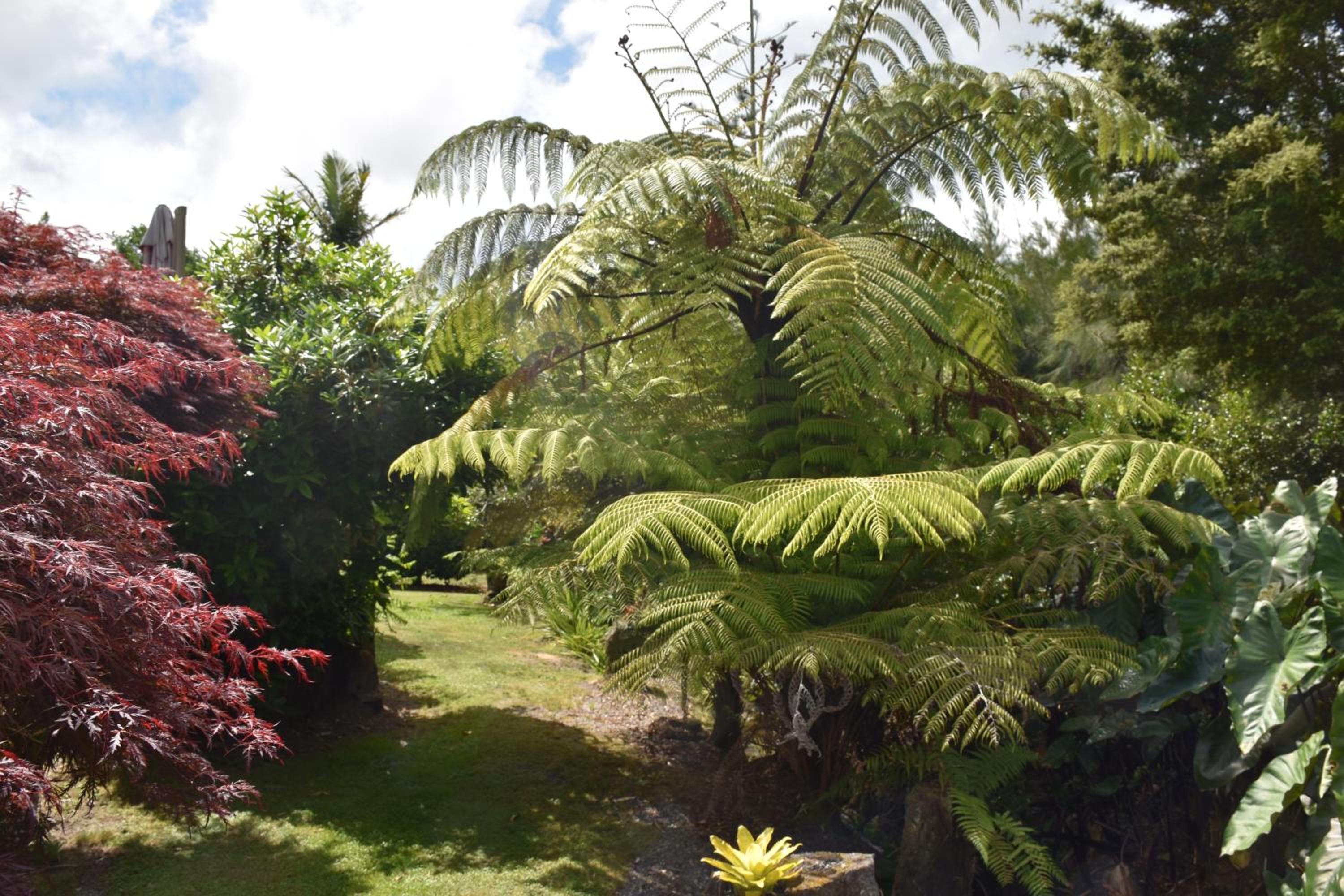 Kerikeri Garden Homestead view 4