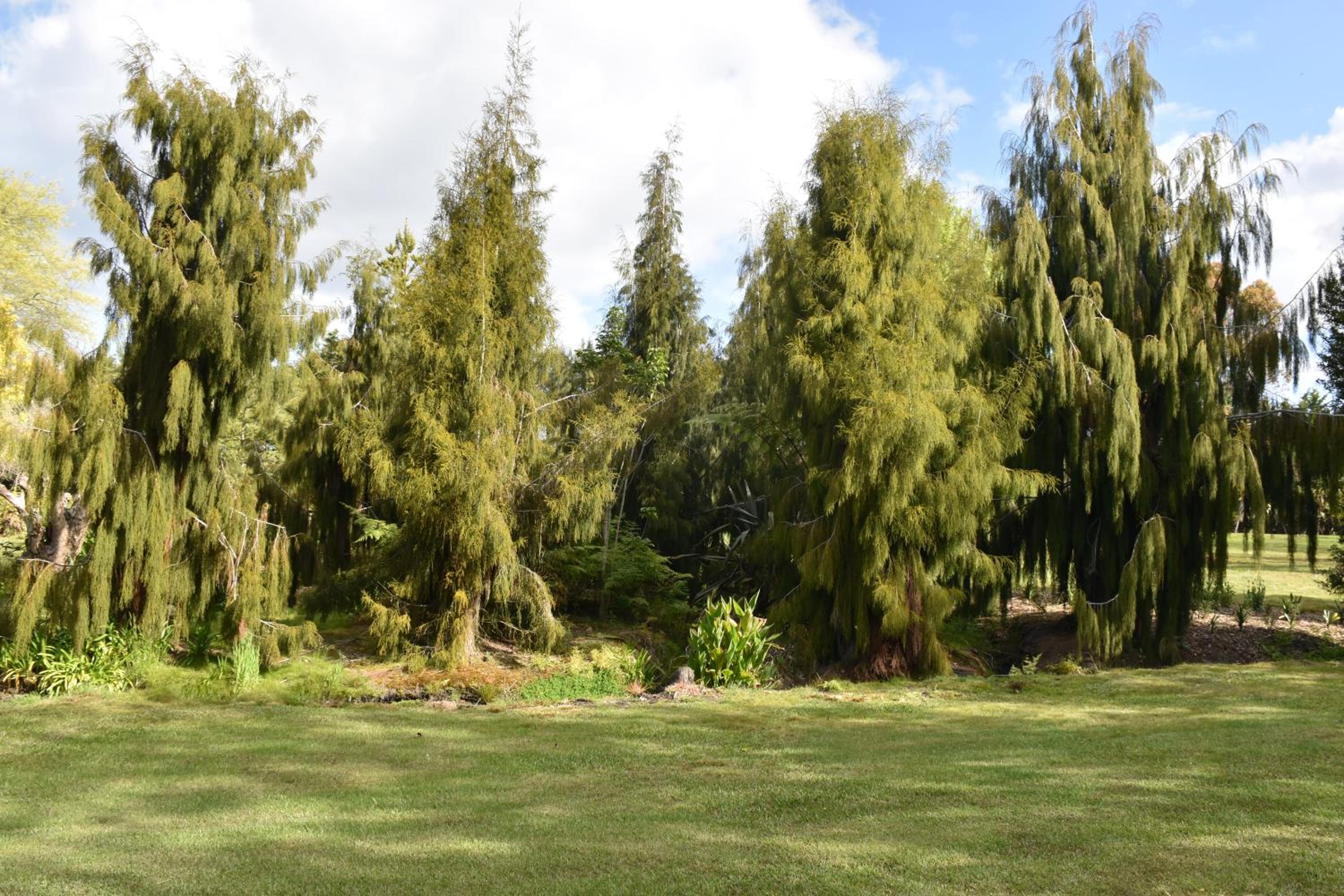 Kerikeri Garden Homestead view 2