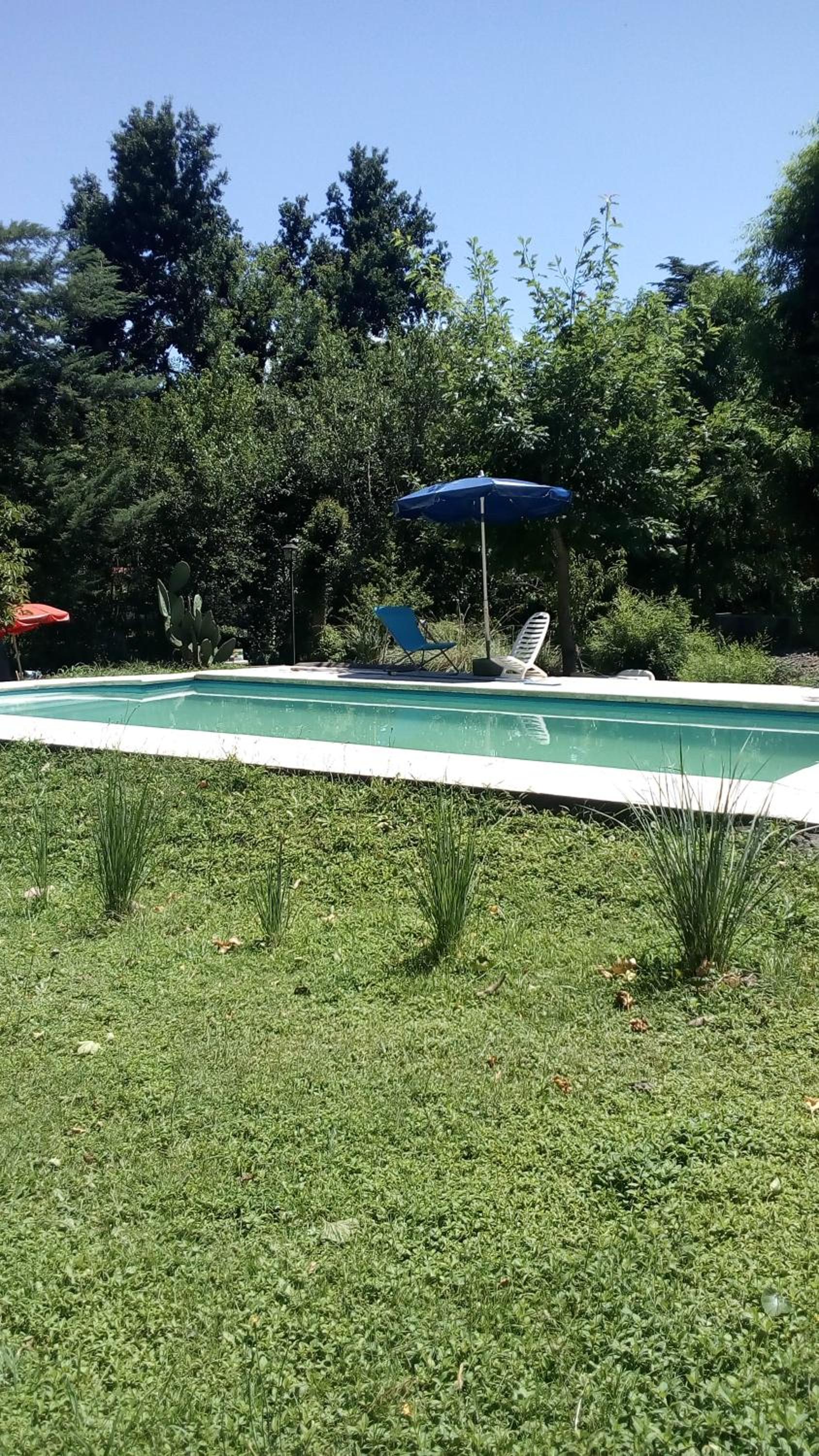Cabañas los Plátanos