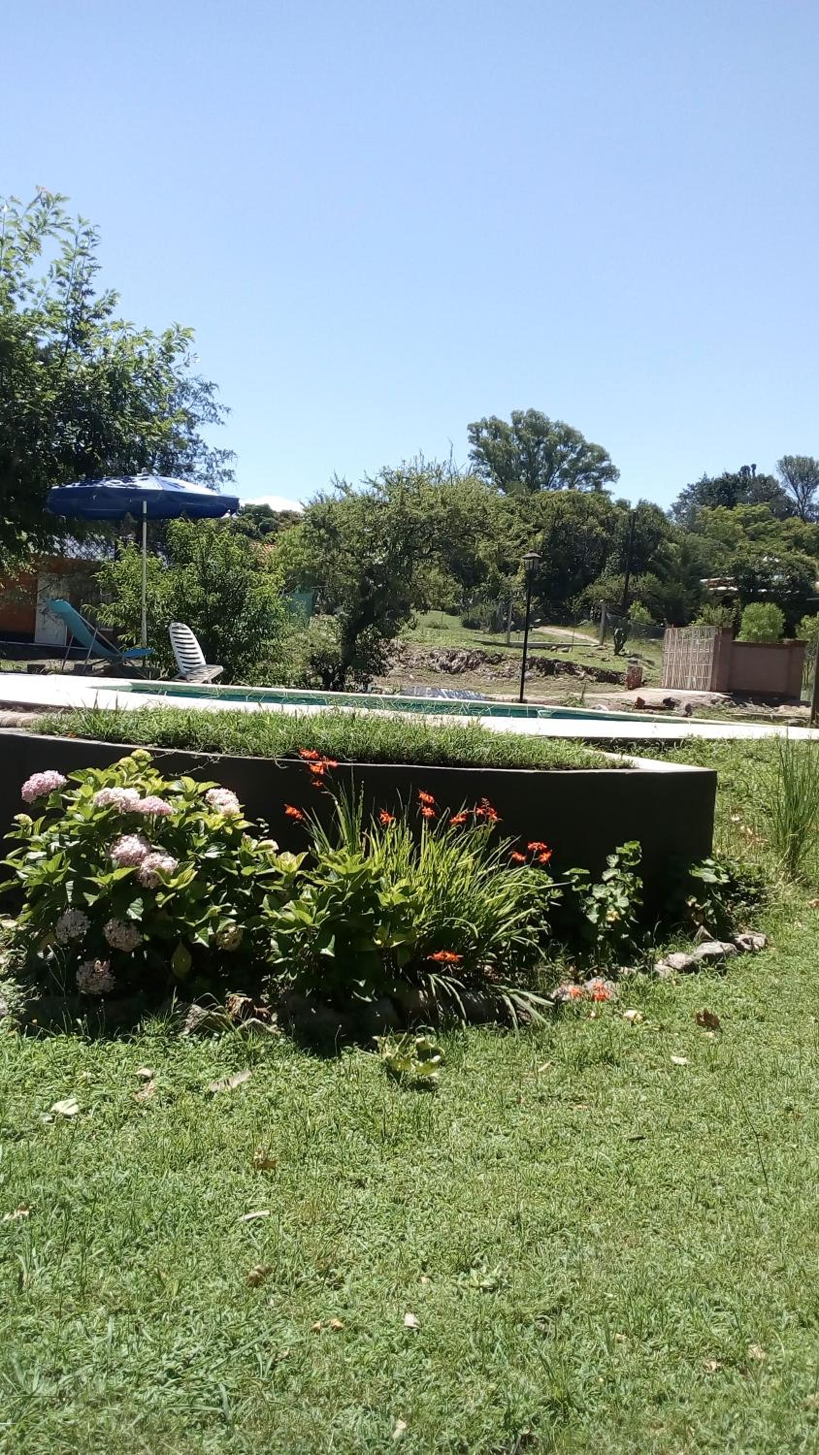 Cabañas los Plátanos