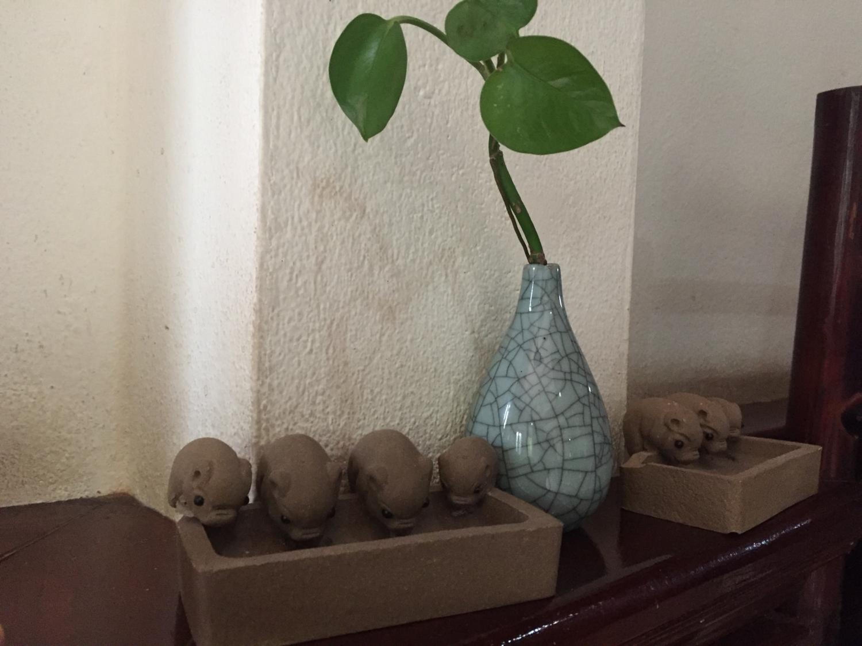Photo 22