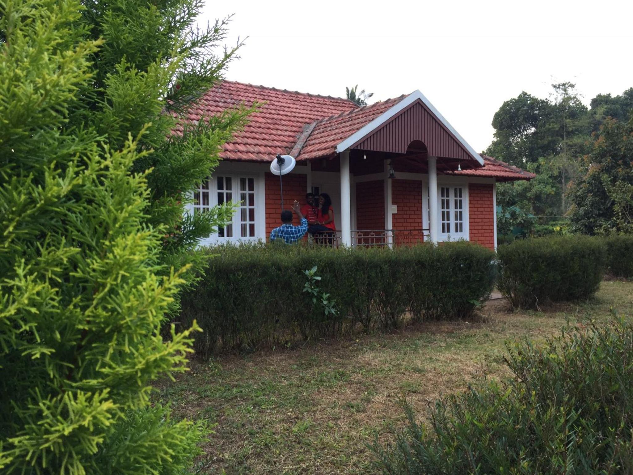 Photo 8