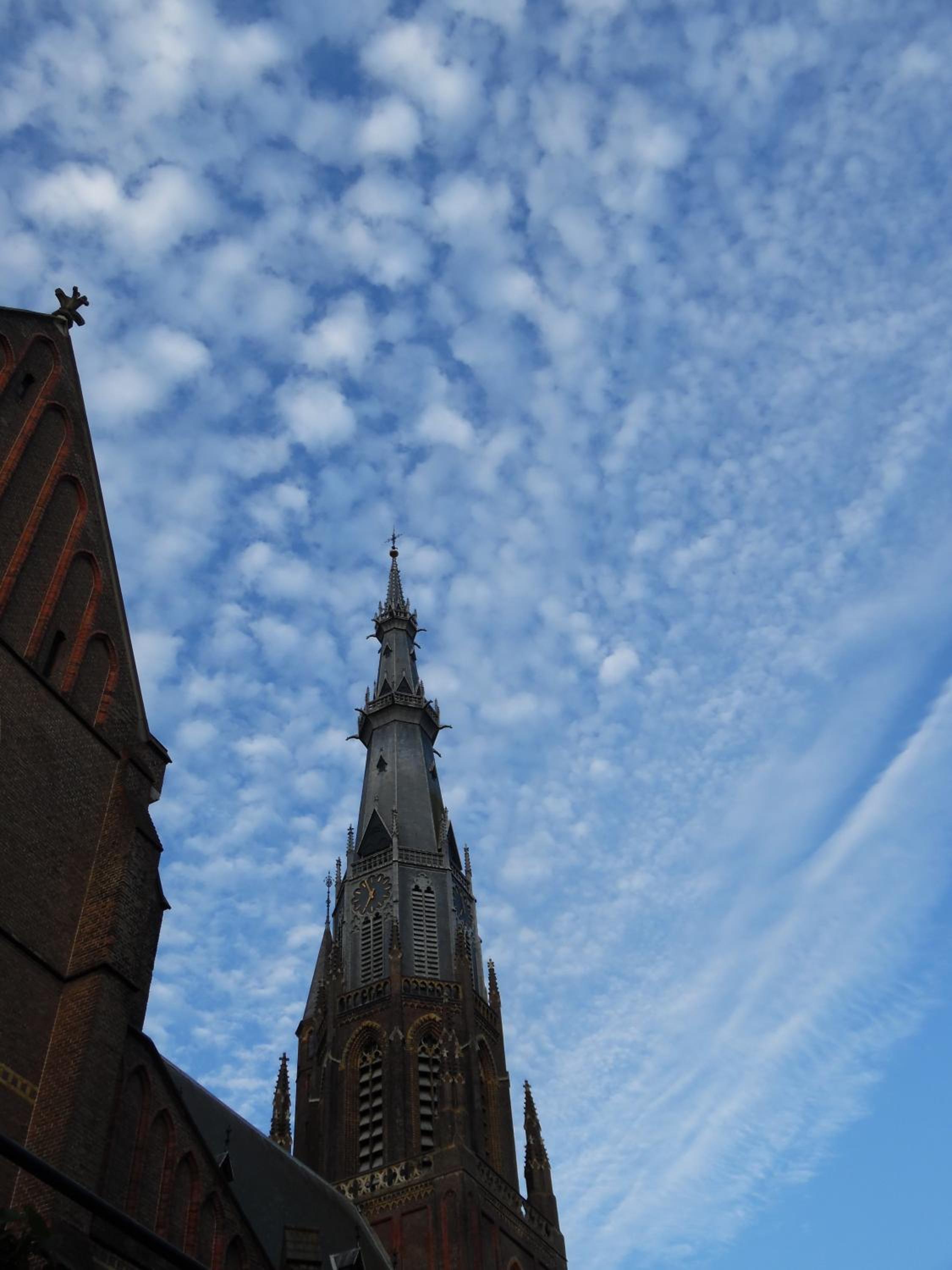 Photo 32