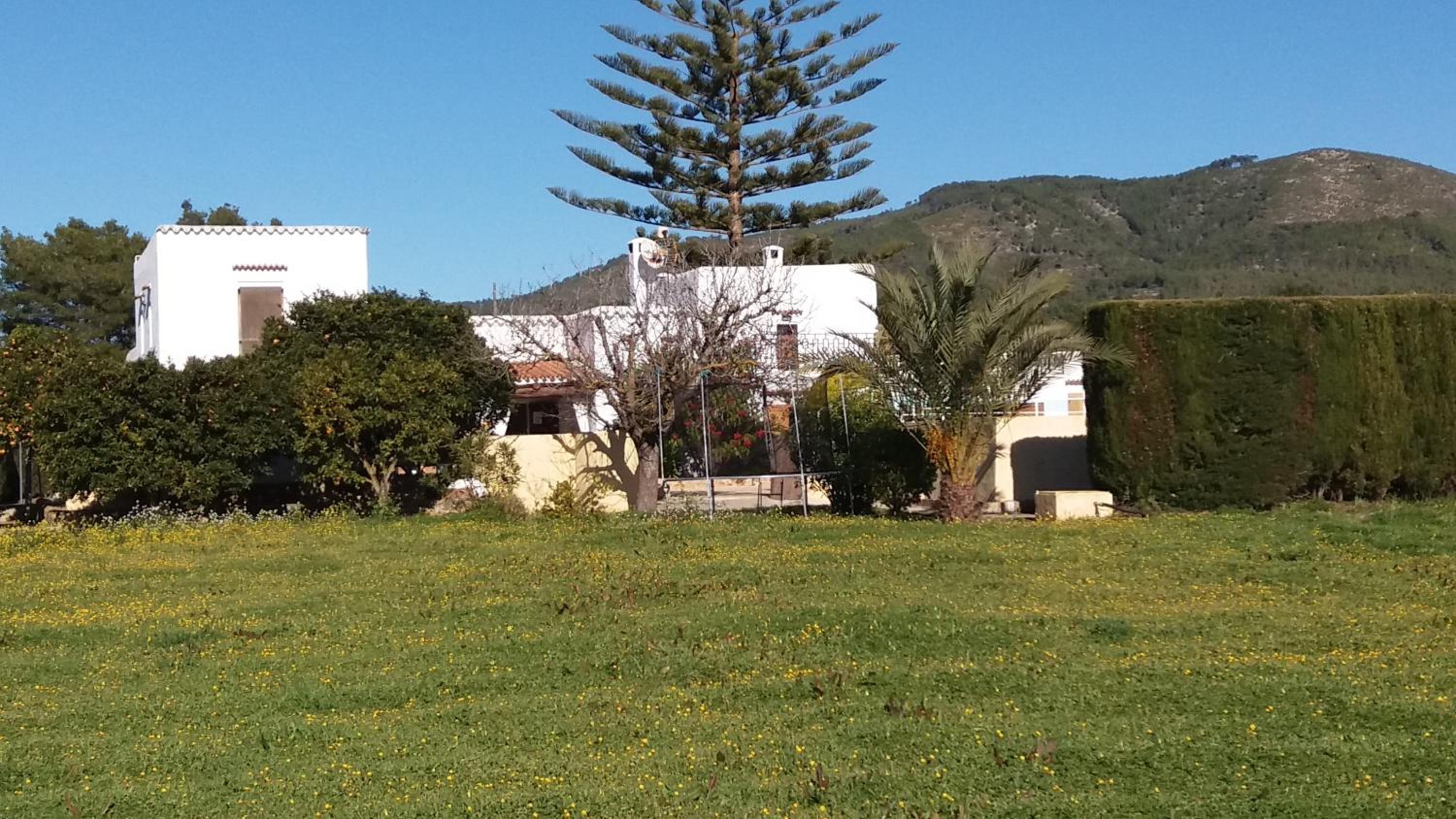 Can Joan Yern view 3