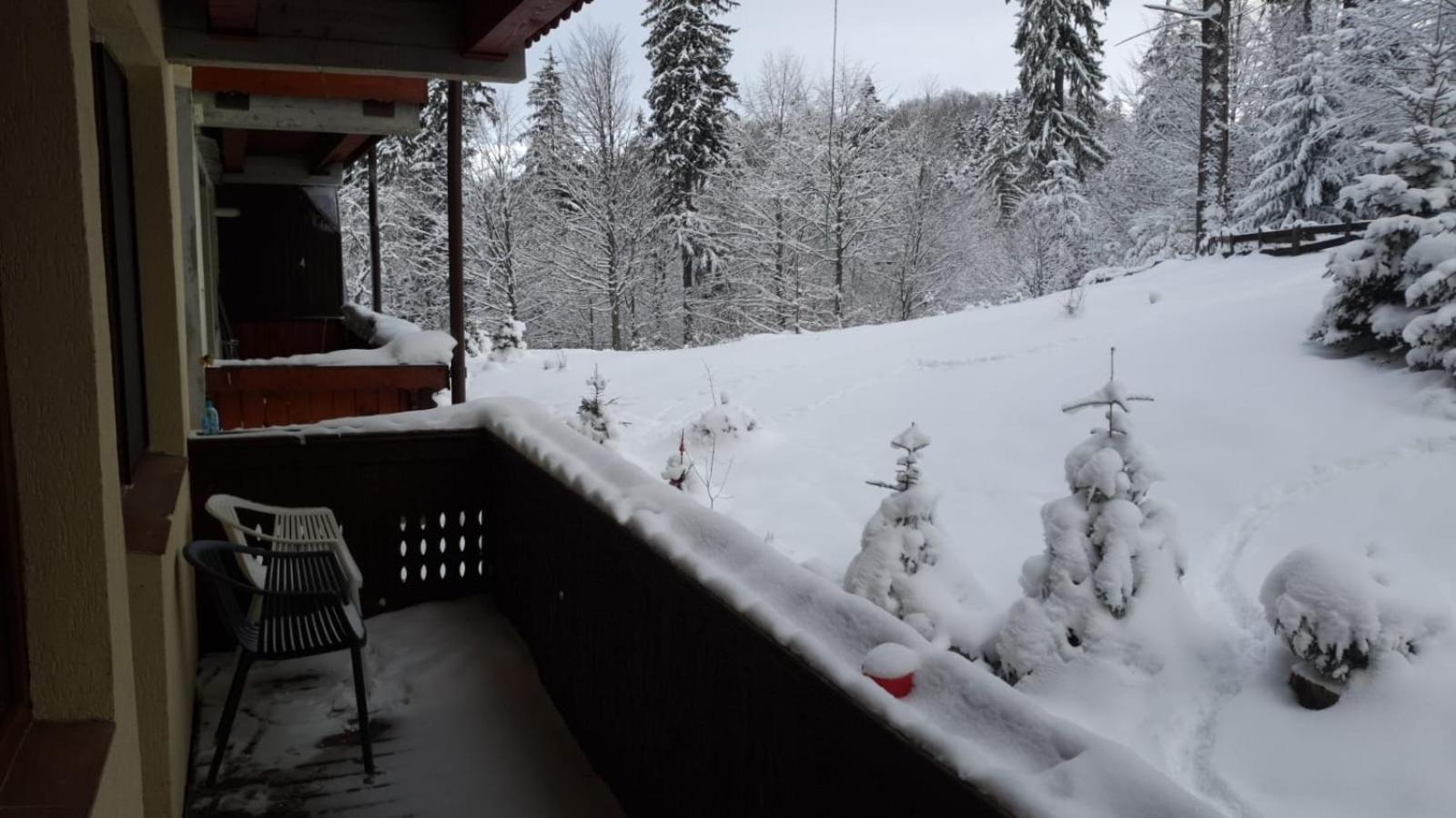 Fairytale apartment close to Bradu Ski Slope view 2