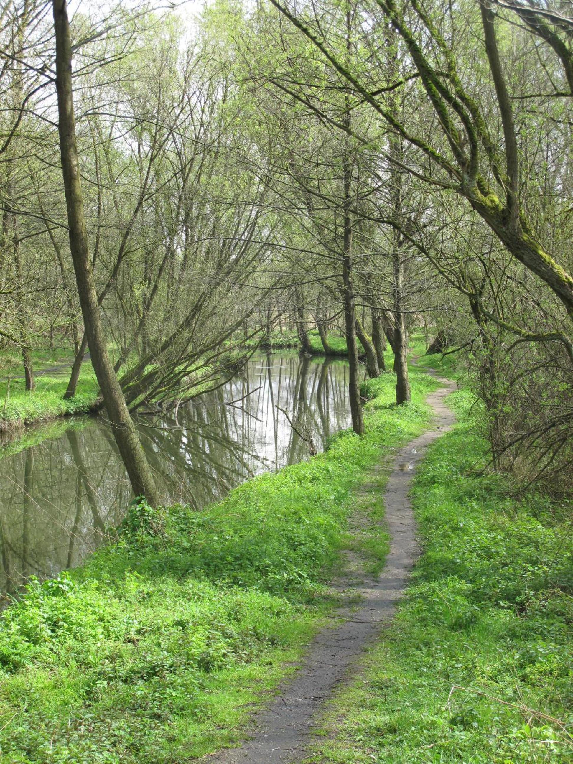 Photo 42