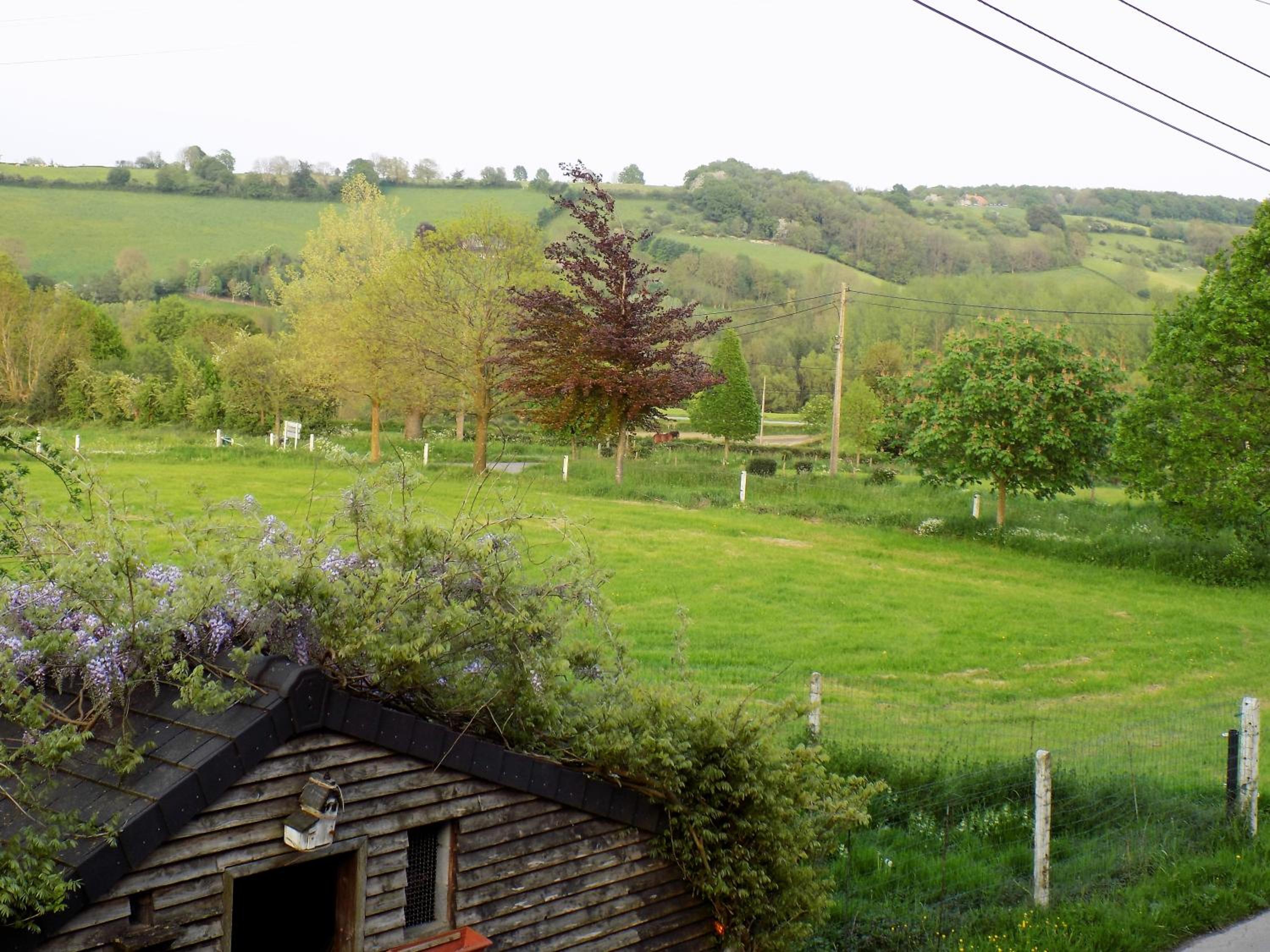 Photo 32
