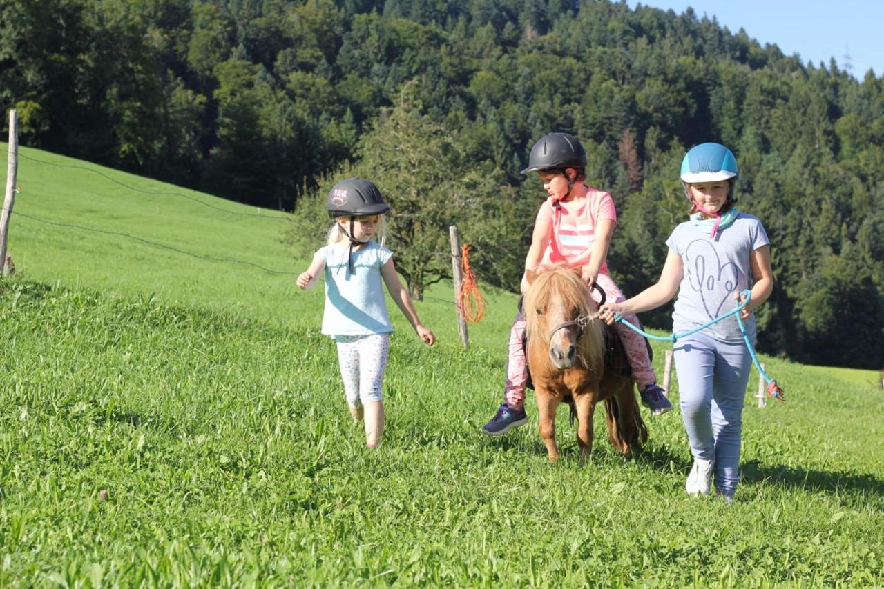 Bio Ferienbauernhof Greber - Natururlaub mit Ponys & Kaninchen