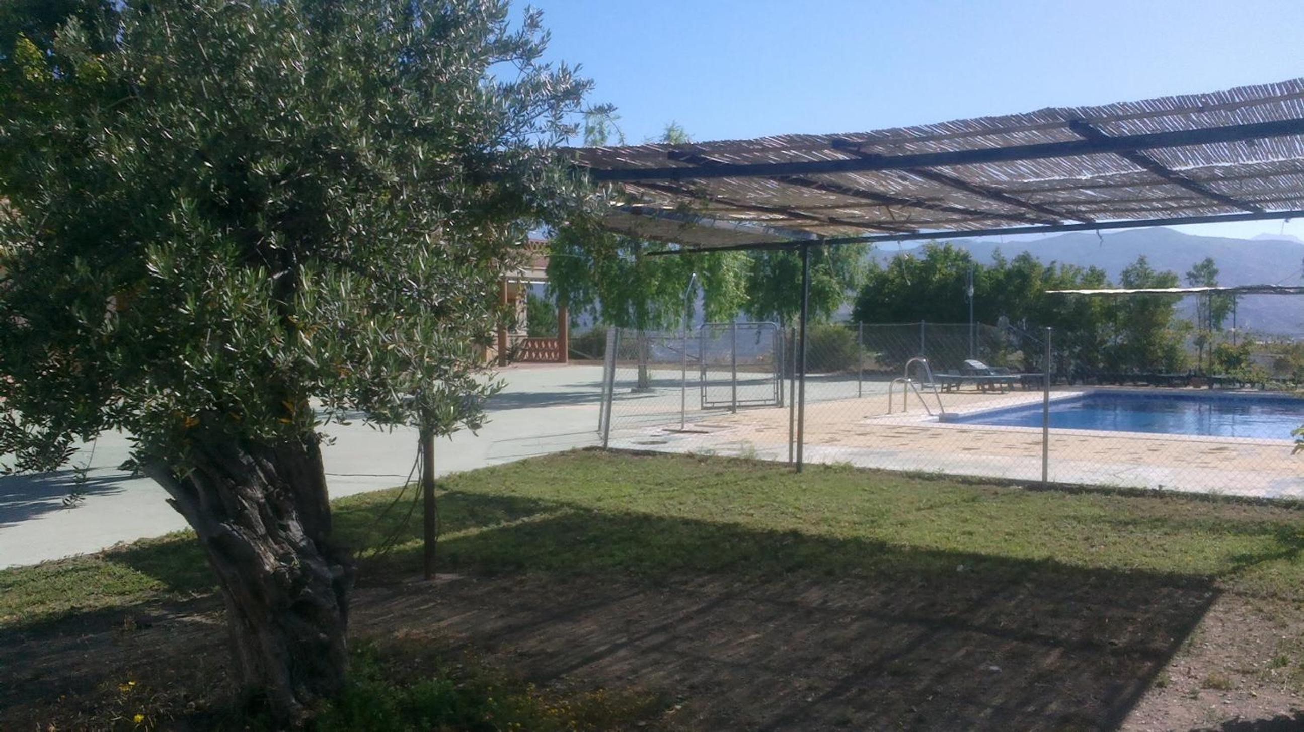 Photo 17