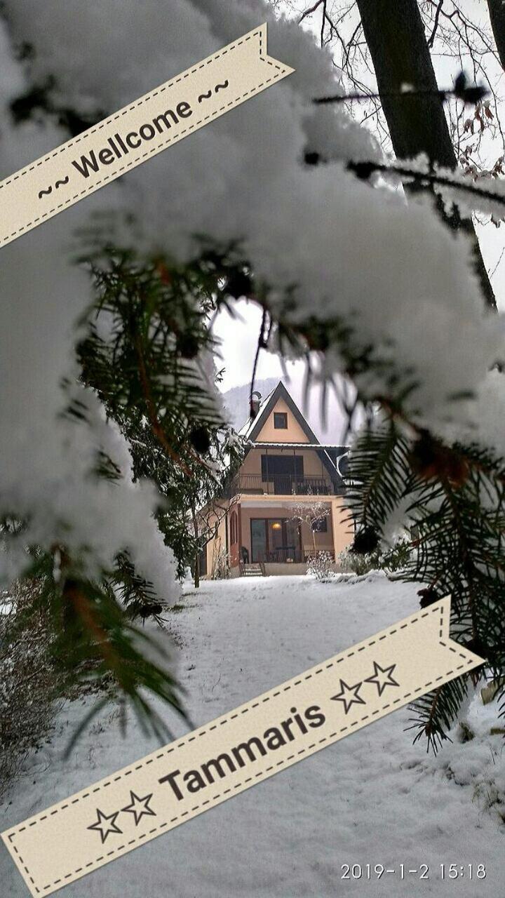 Tamaris Holiday Home