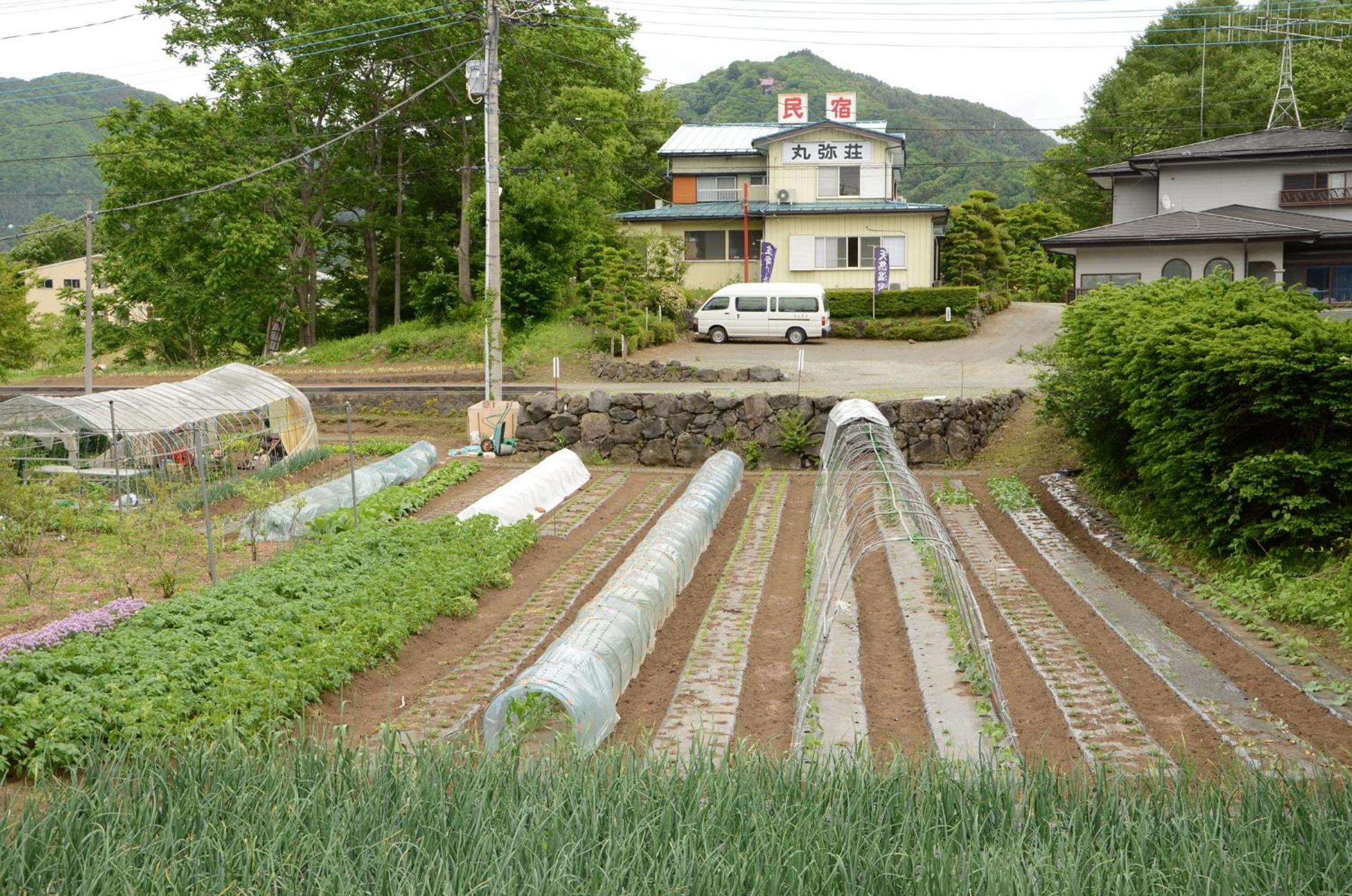 Maruyaso