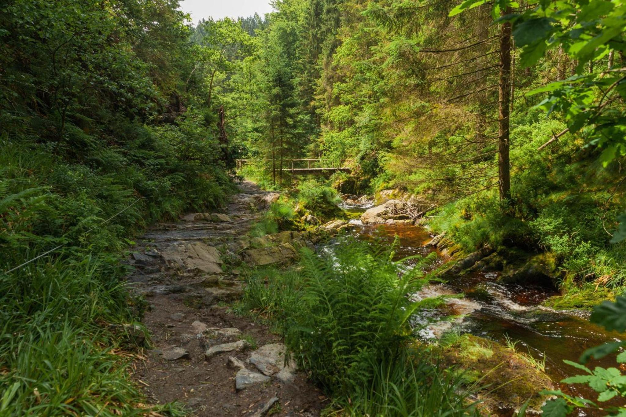 La mignonne des fagnes