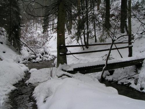 La mignonne des fagnes