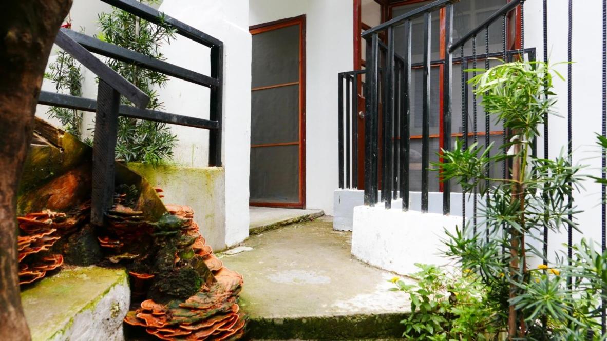 JSB Residences Cebu B-flat view 2