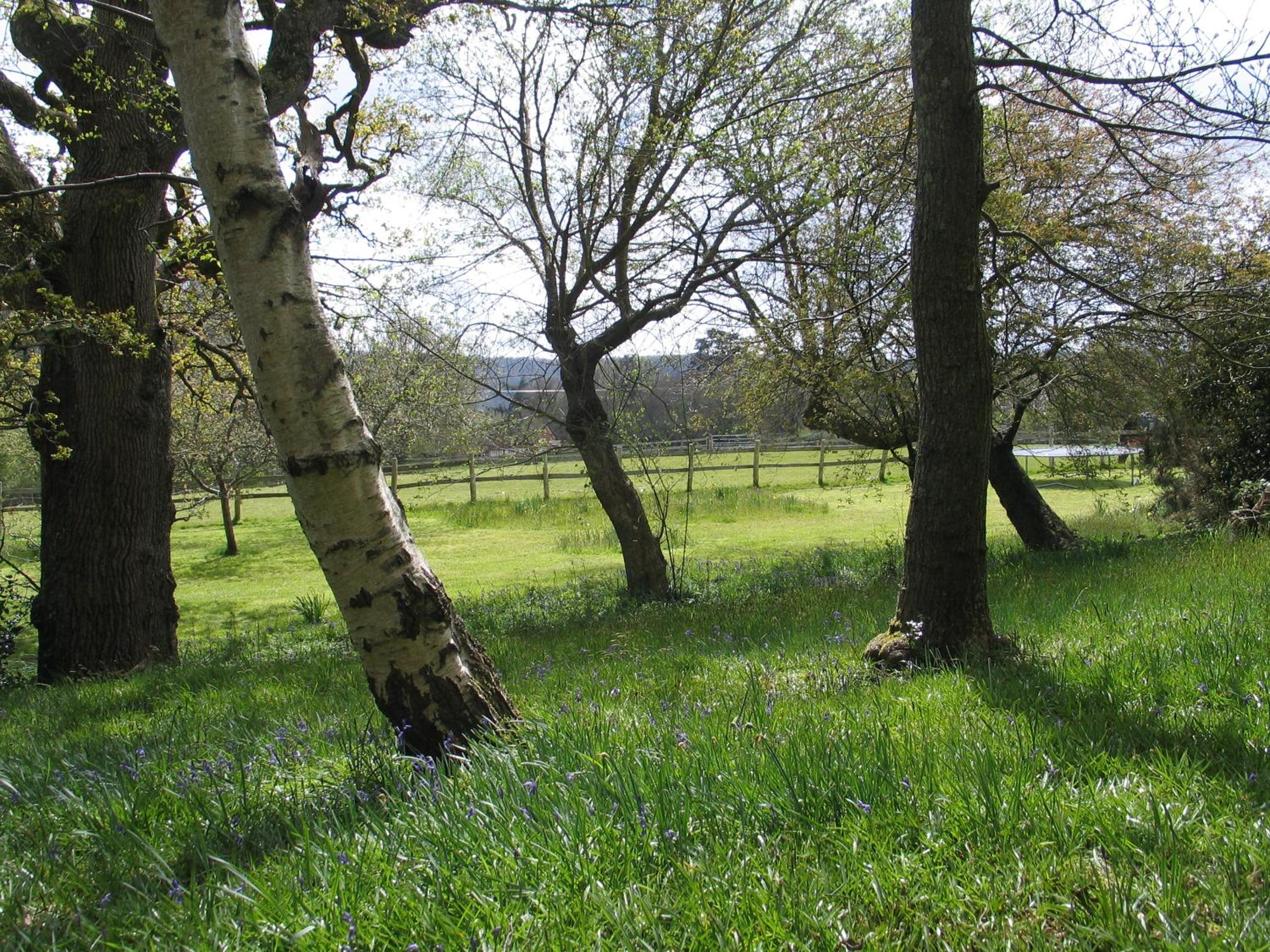 Brook Barn 13