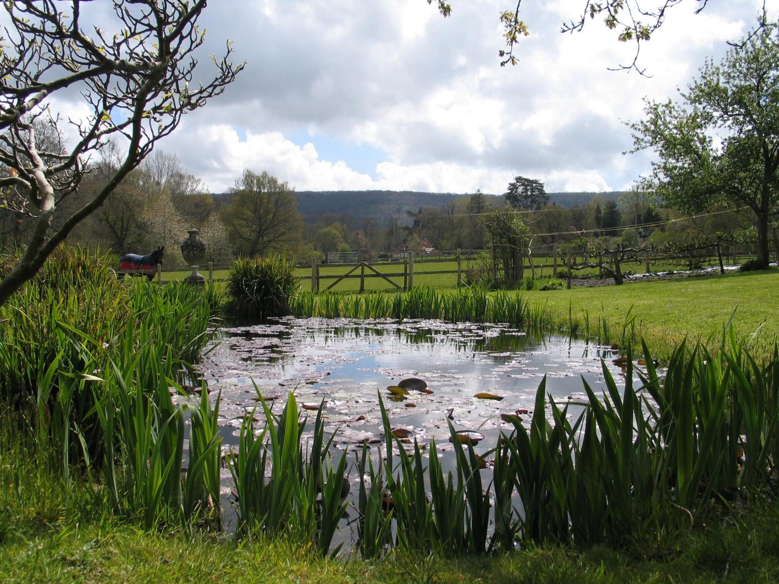 Brook Barn 15