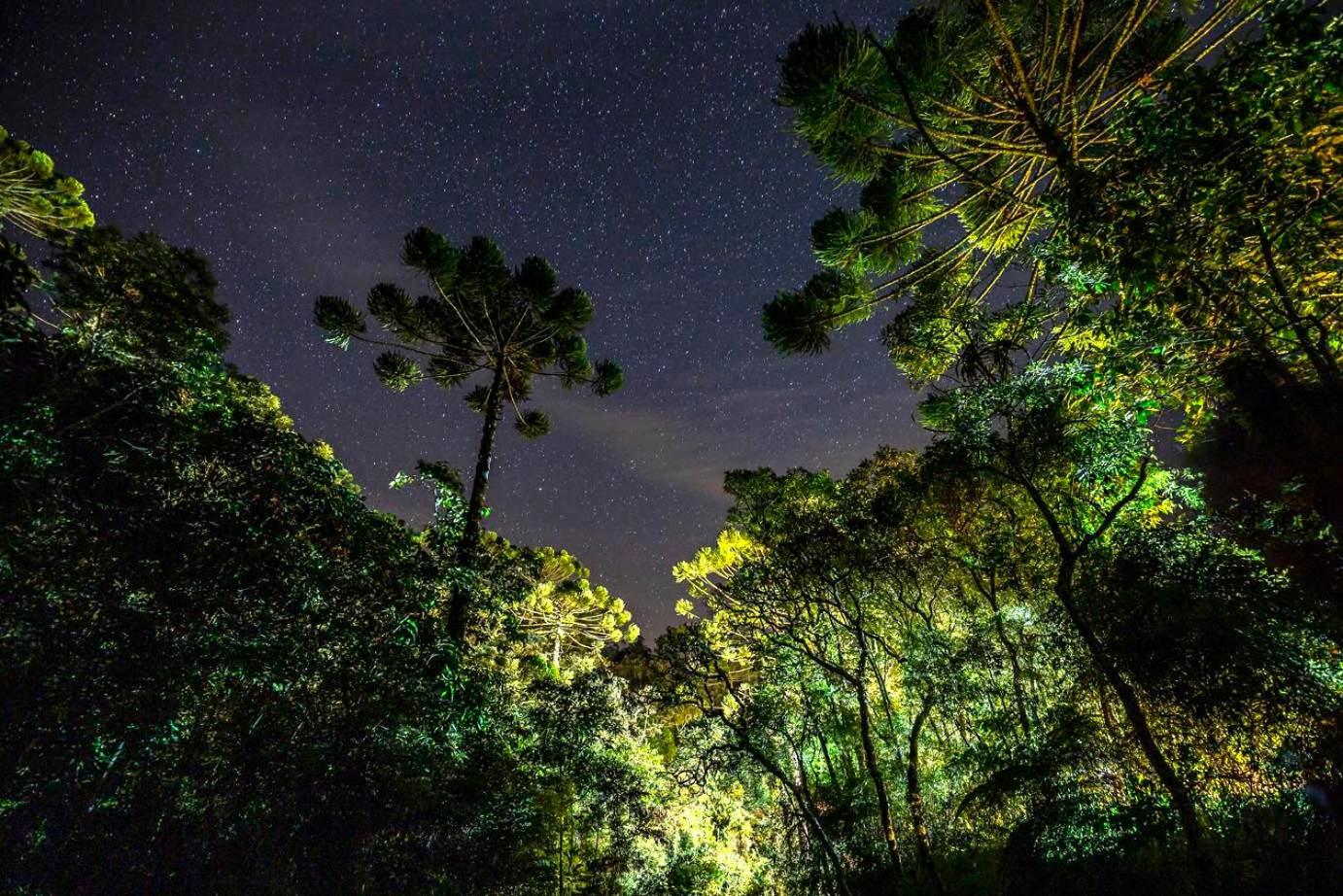 Estalagem Engenho de Serra - Parque Nacional do Itatiaia - Parte Alta