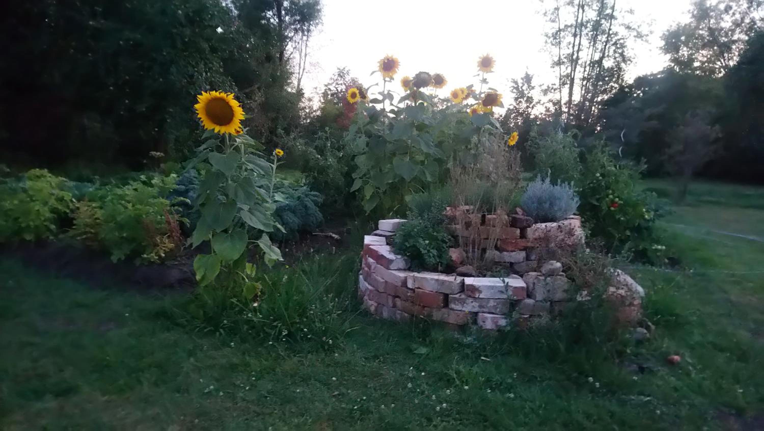 Photo 36
