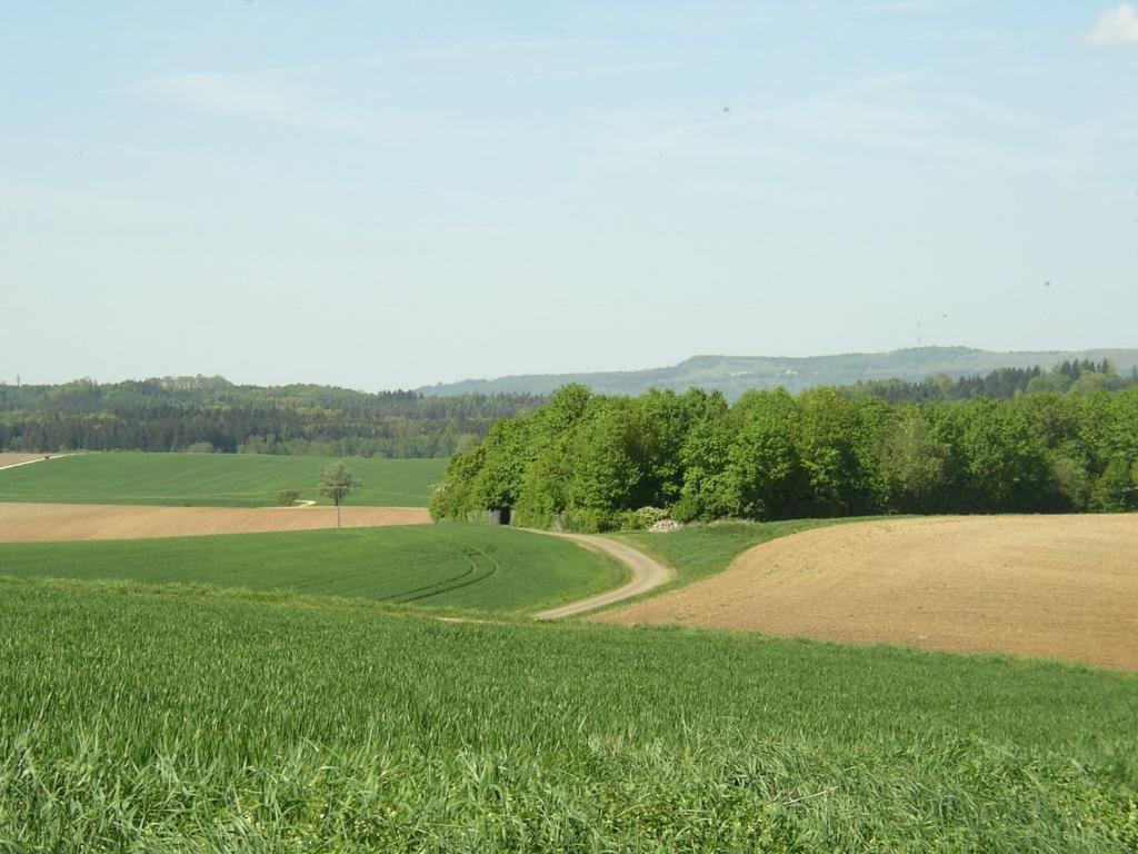 Photo 36
