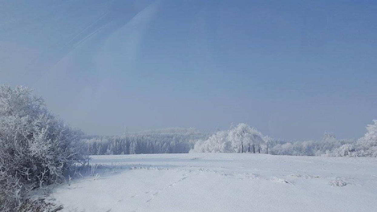 Photo 35