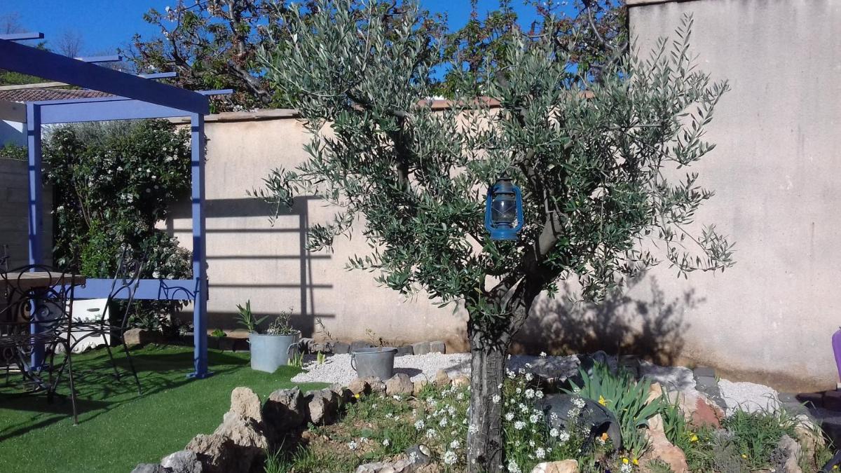 Eclats du Sud, photo 28