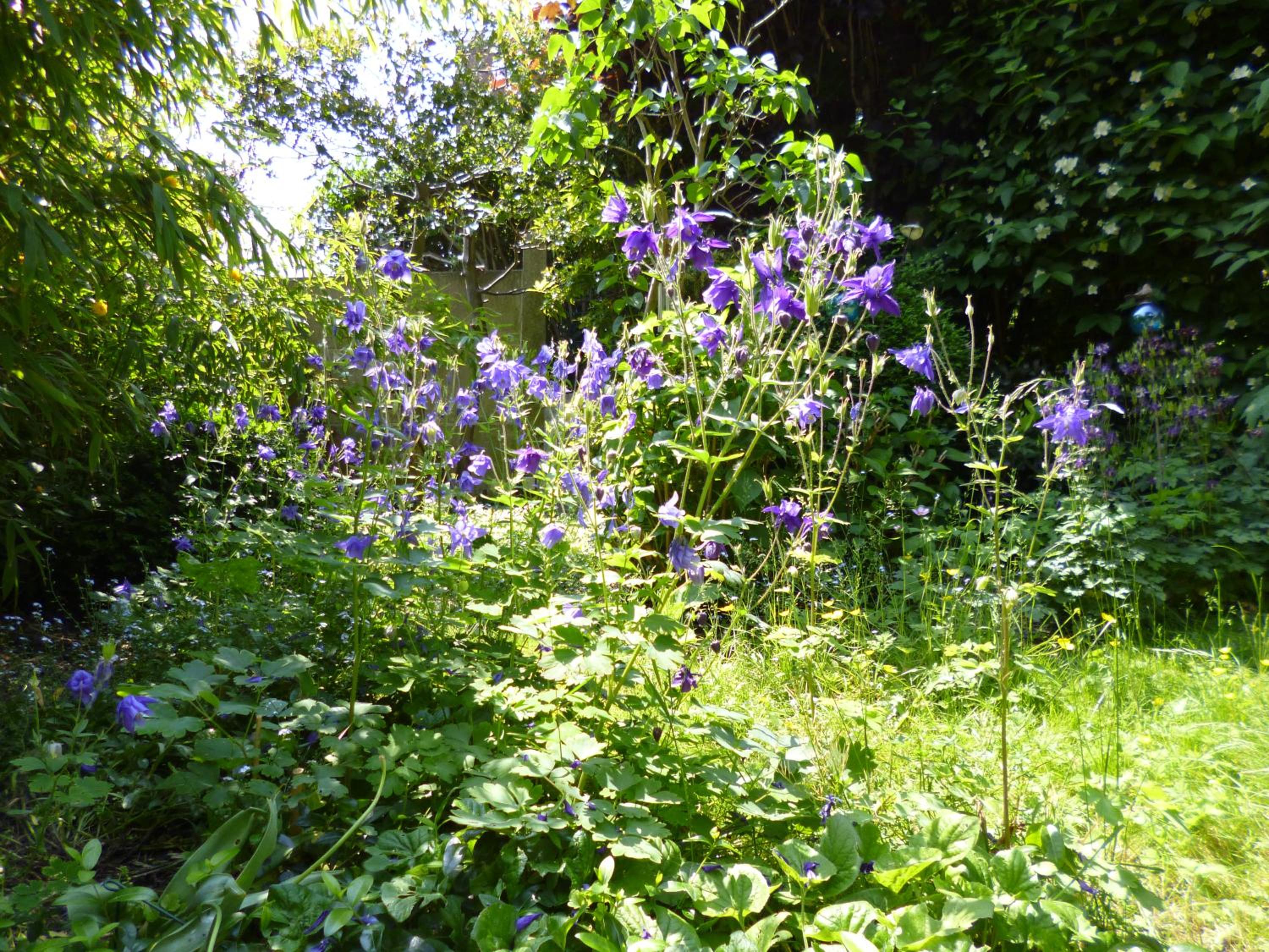 B&B Matin Tranquille, photo 60