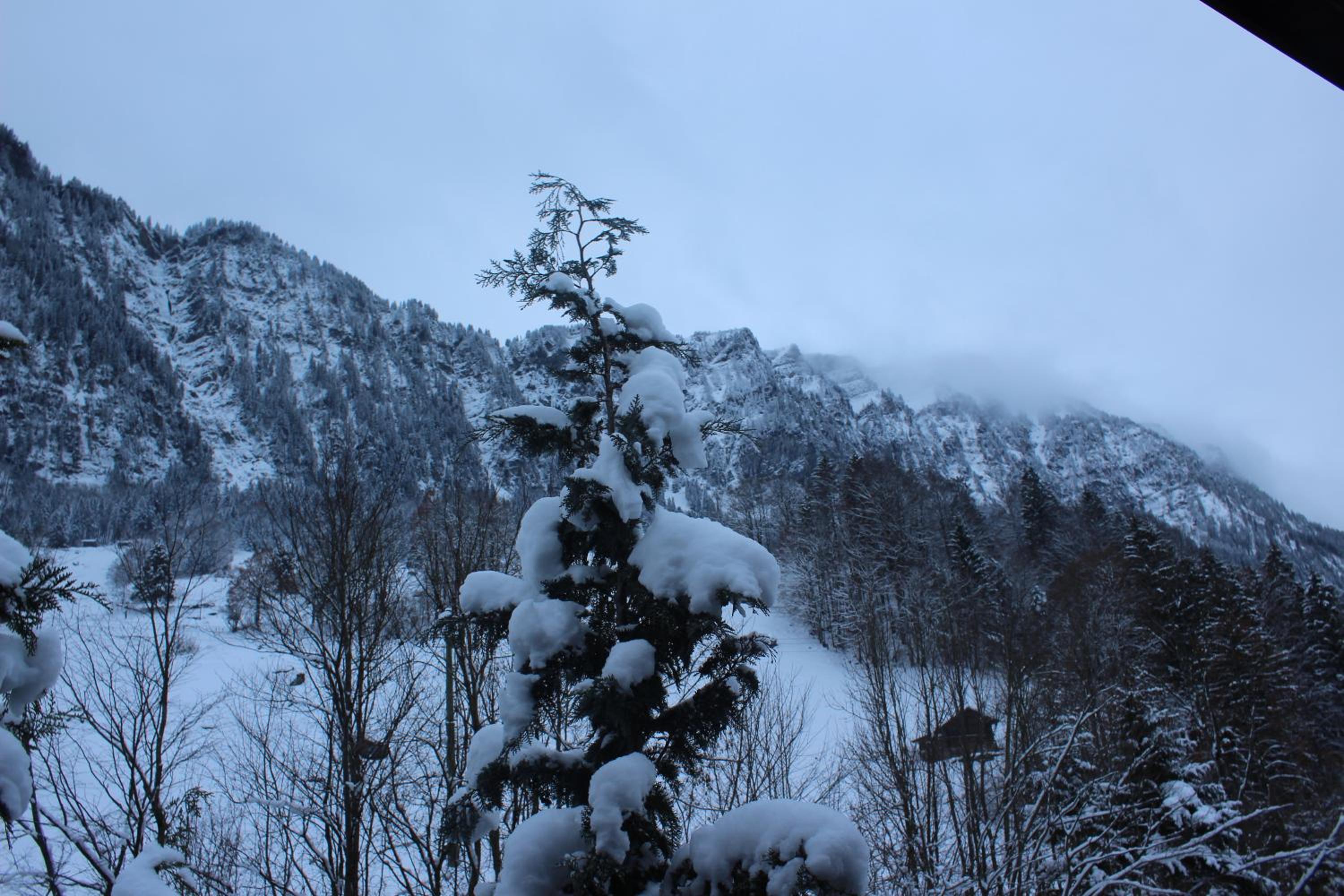Chalet Burglauenen Grindelwald view 5