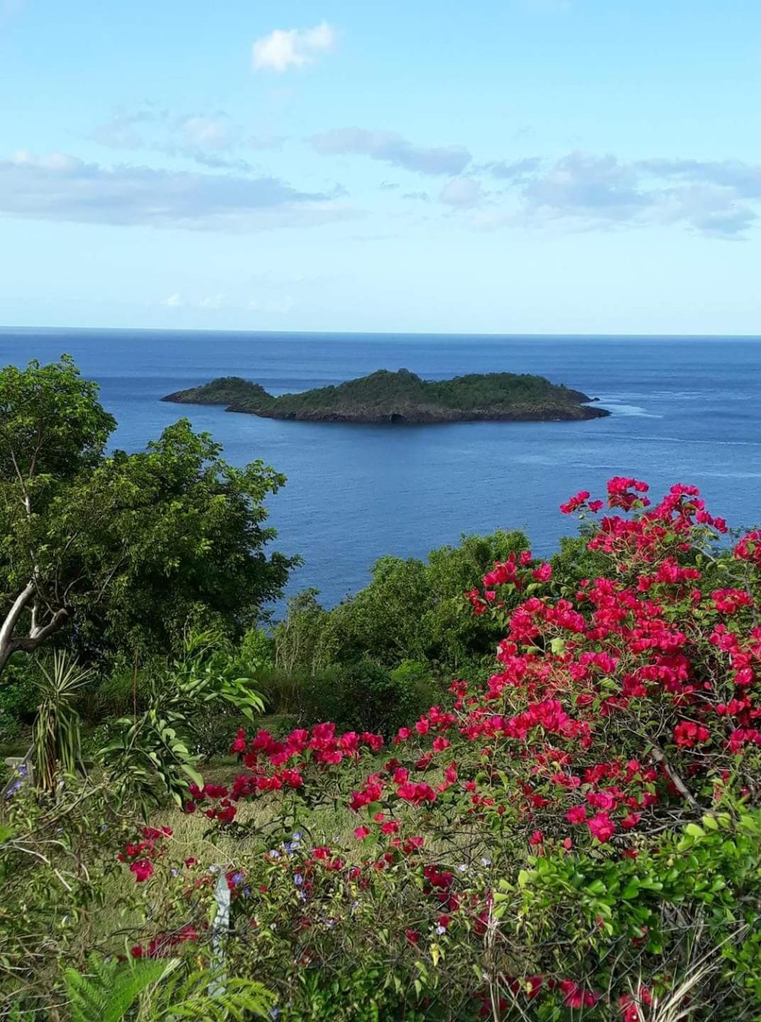 Kanalu Studio