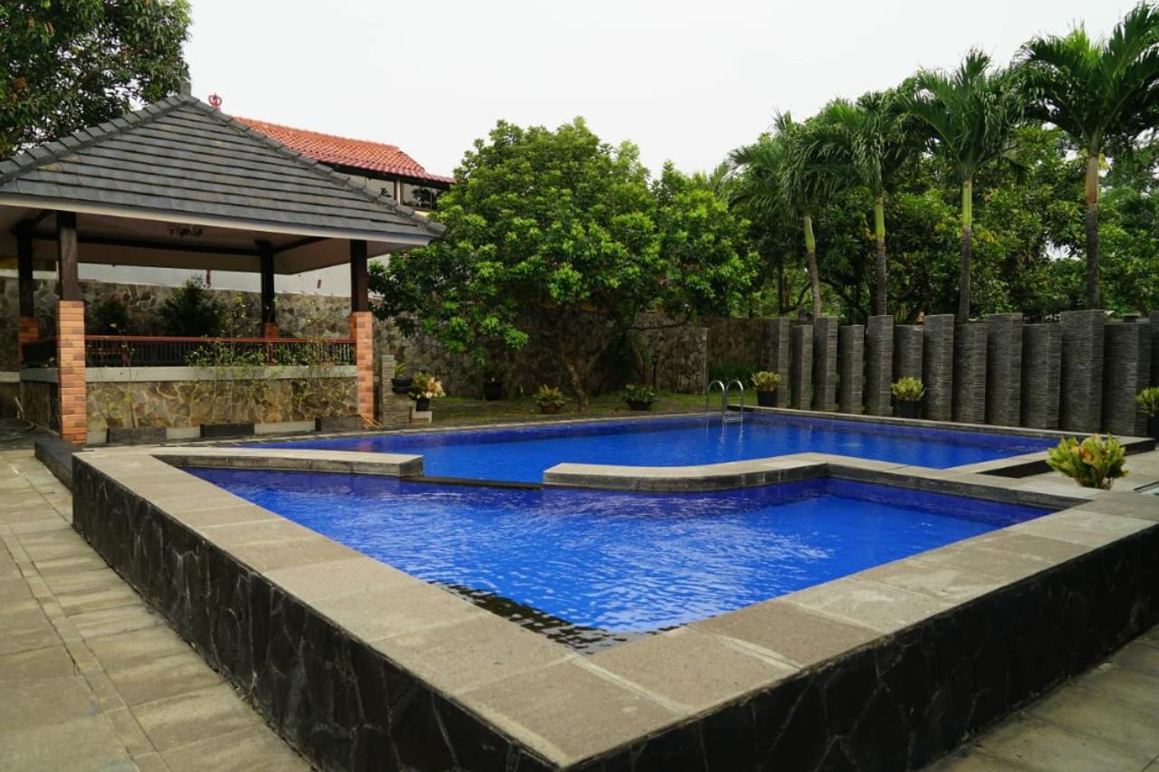 Photo 9